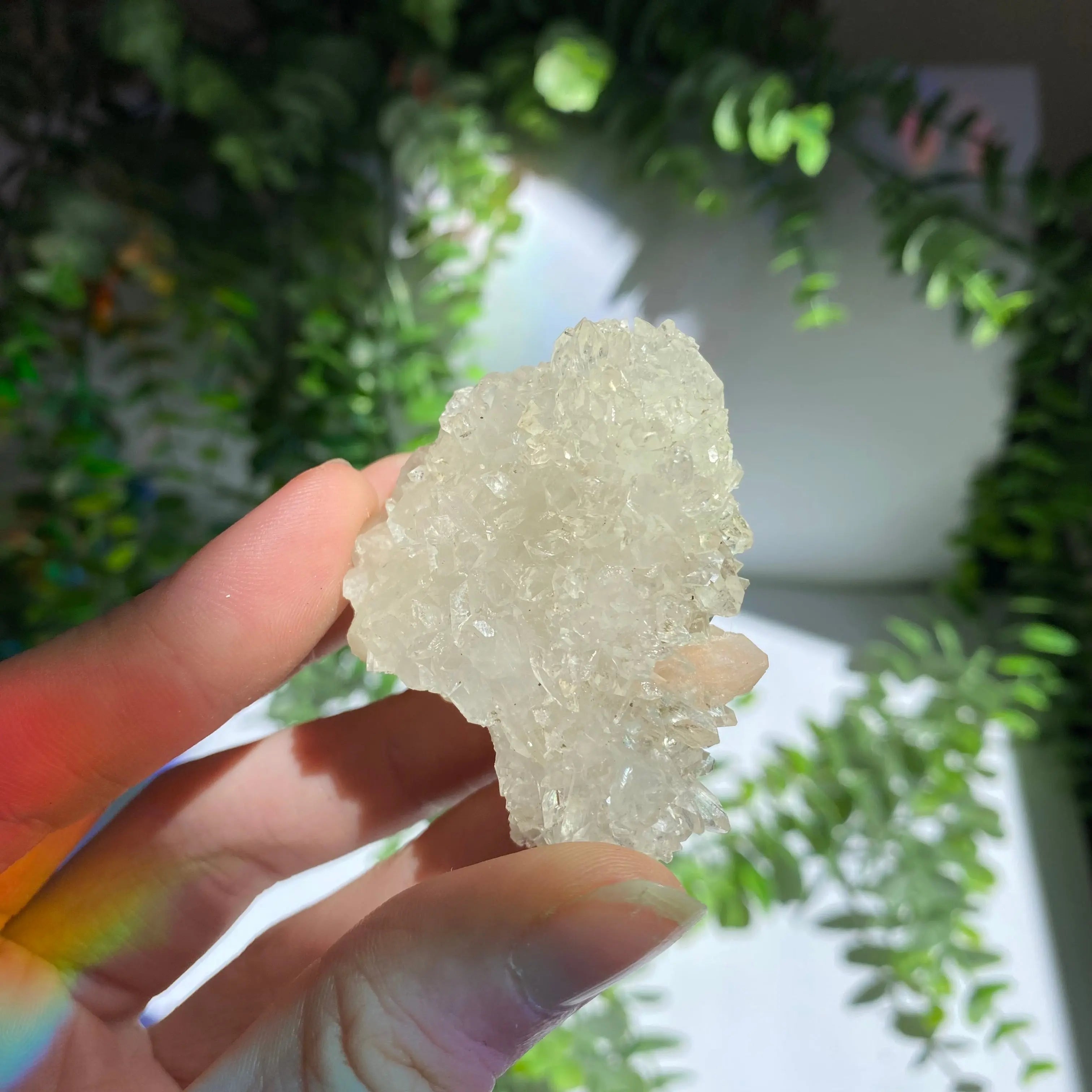 Zeolite Cluster Arabella Crystals