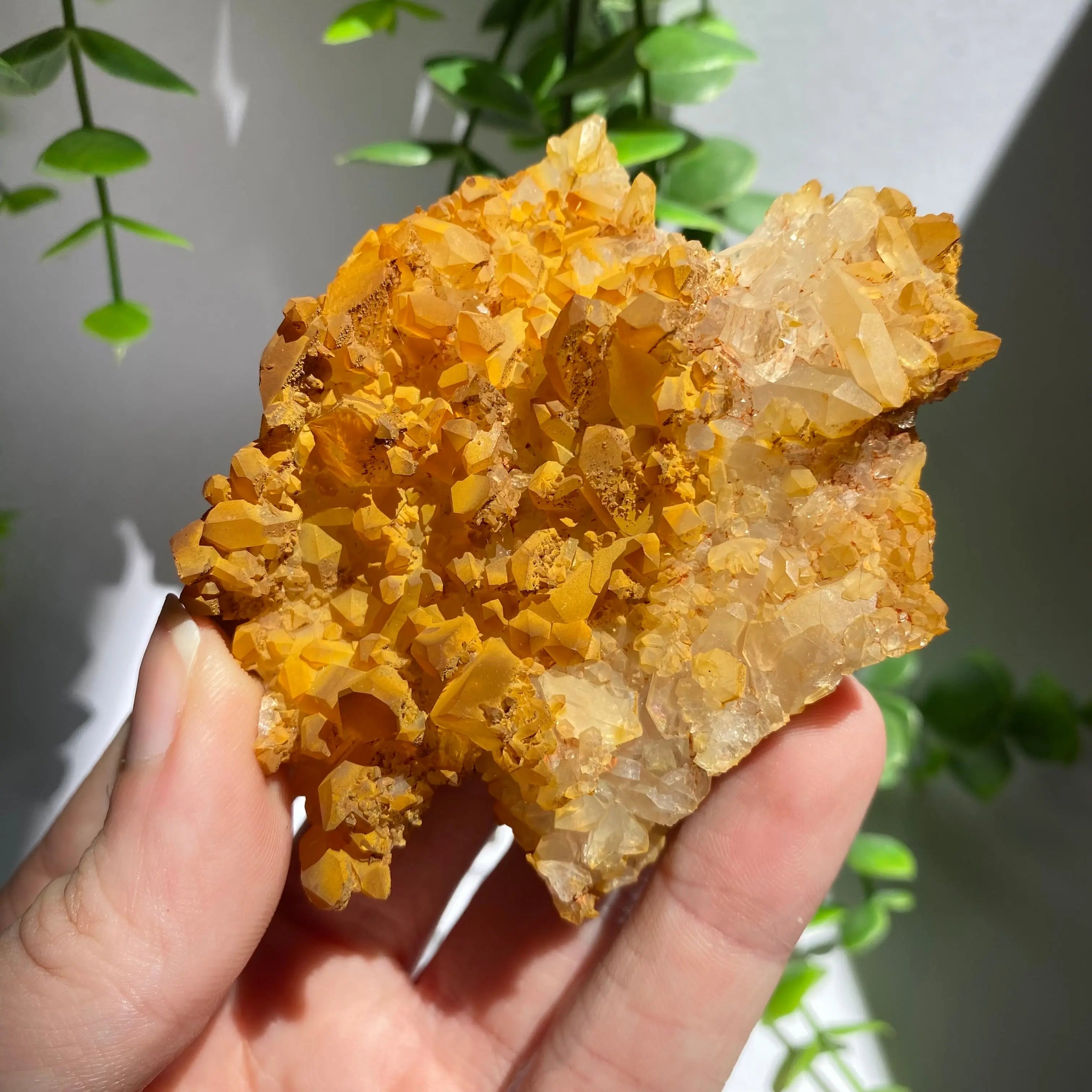 Golden Healer Cluster Arabella Crystals