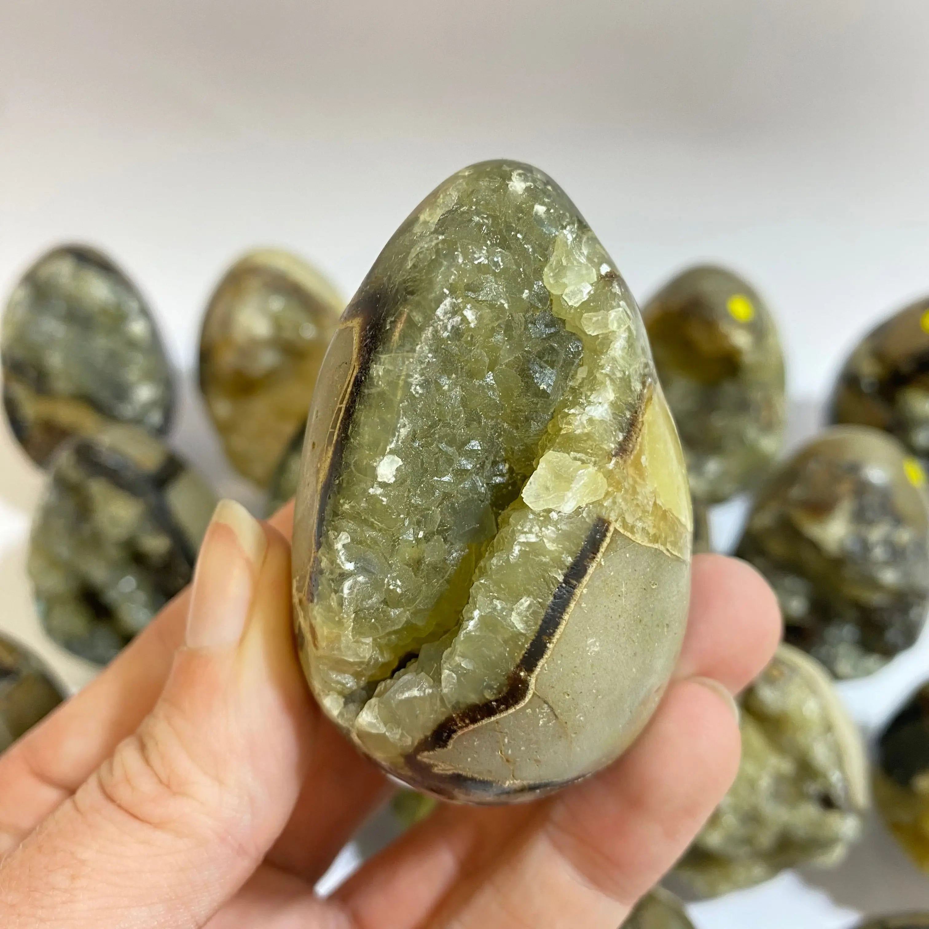 Septarian Agate Egg Arabella Crystals