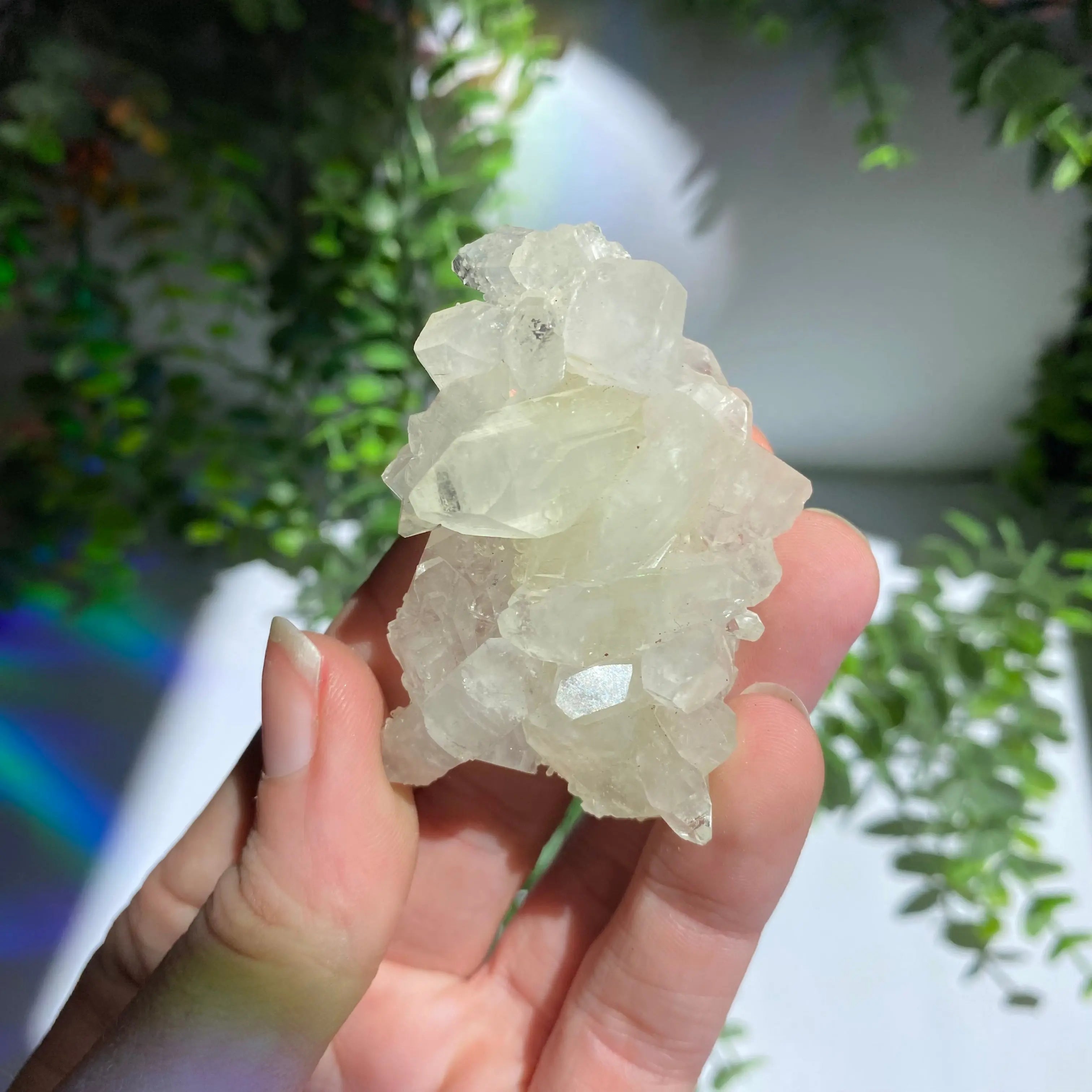 Zeolite Cluster Arabella Crystals