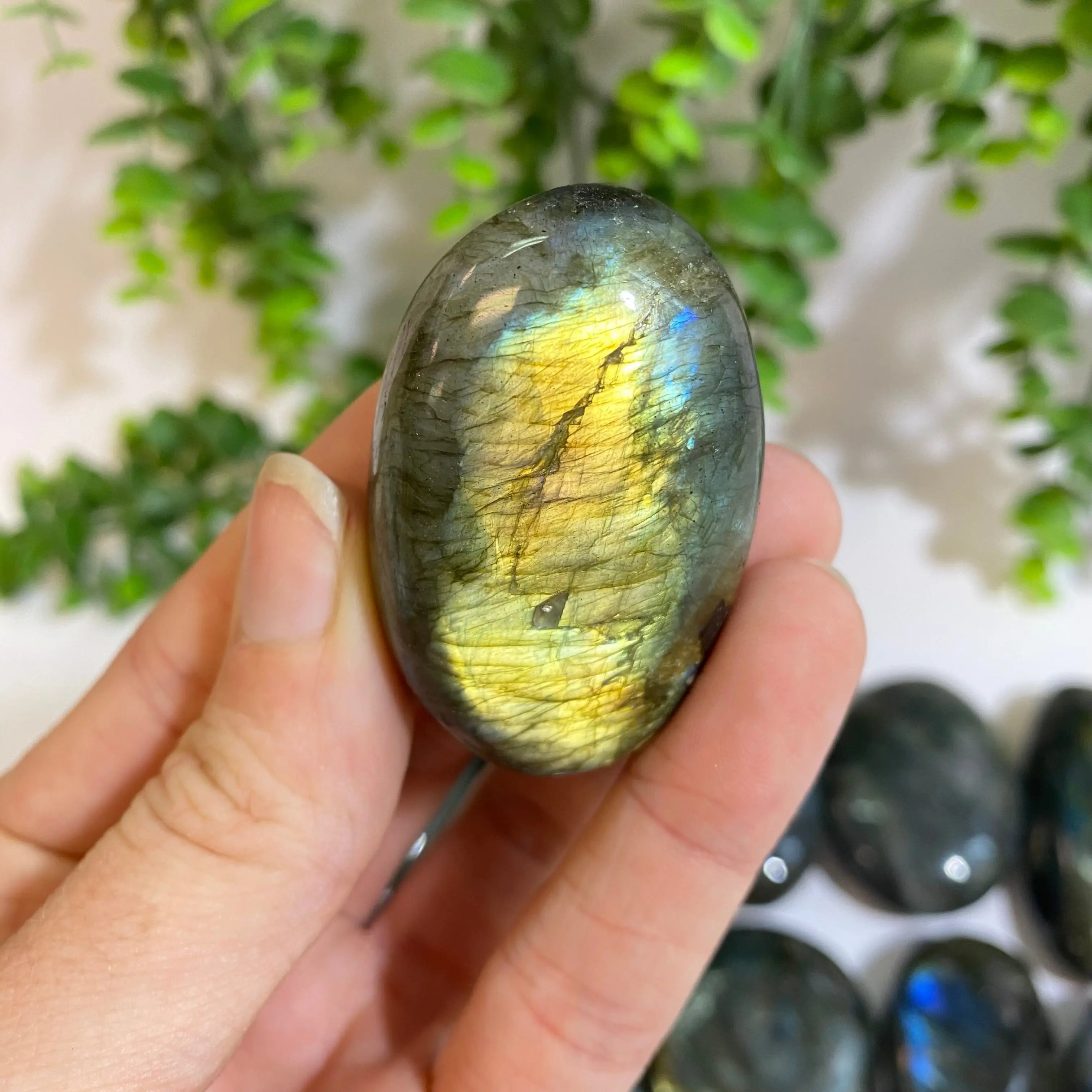 Labradorite Palm Stone Arabella Crystals