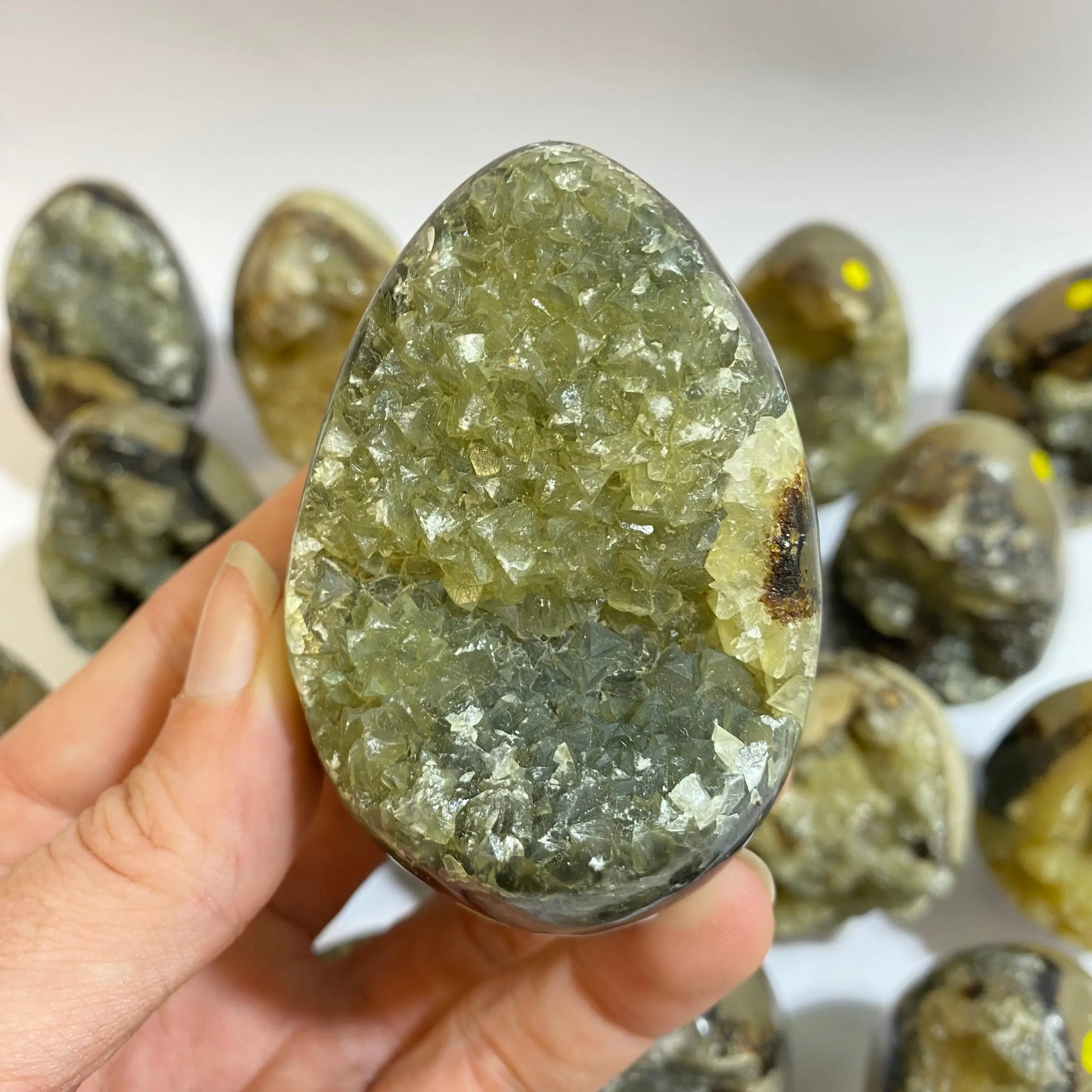 Septarian Agate Egg Arabella Crystals