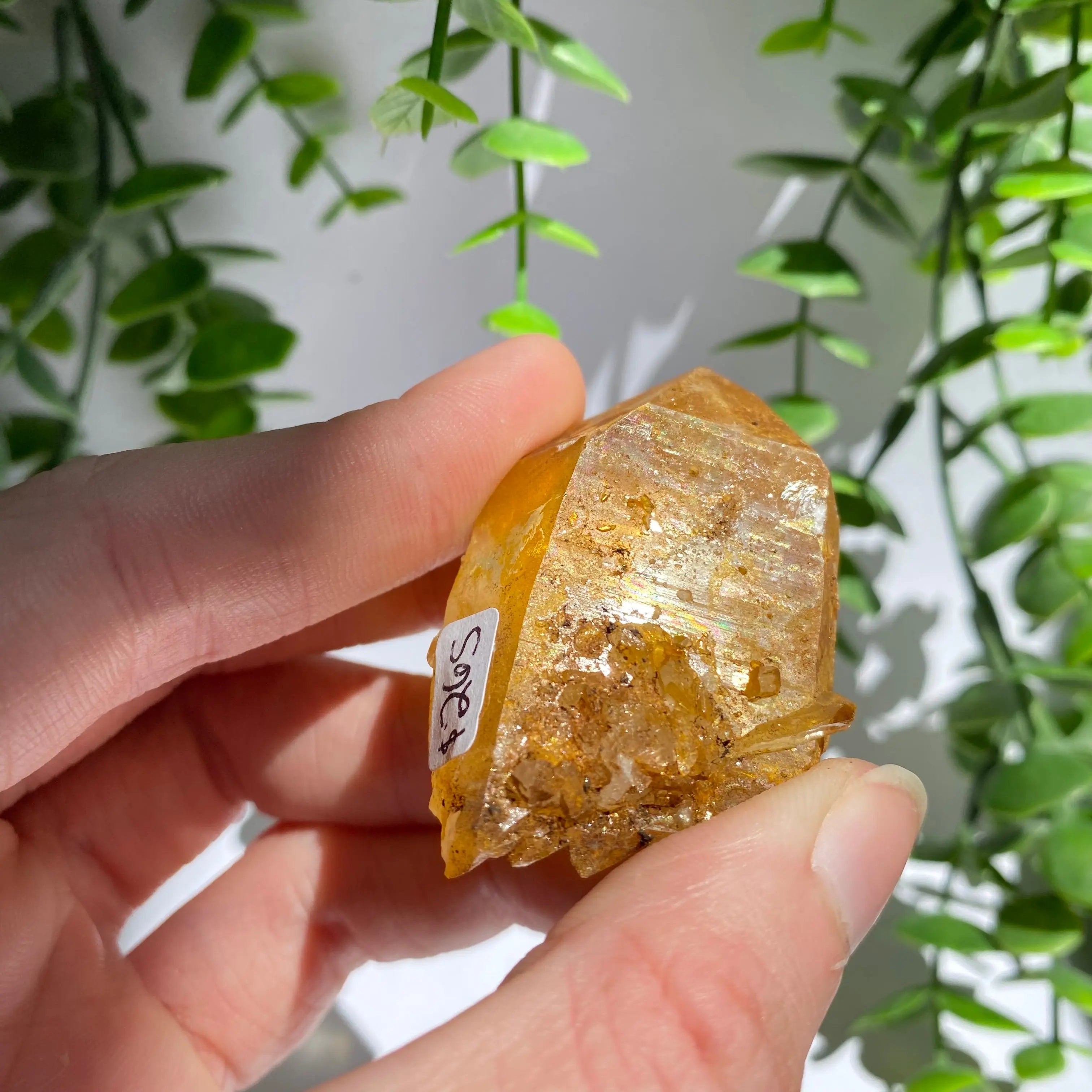 Golden Healer Cluster Arabella Crystals