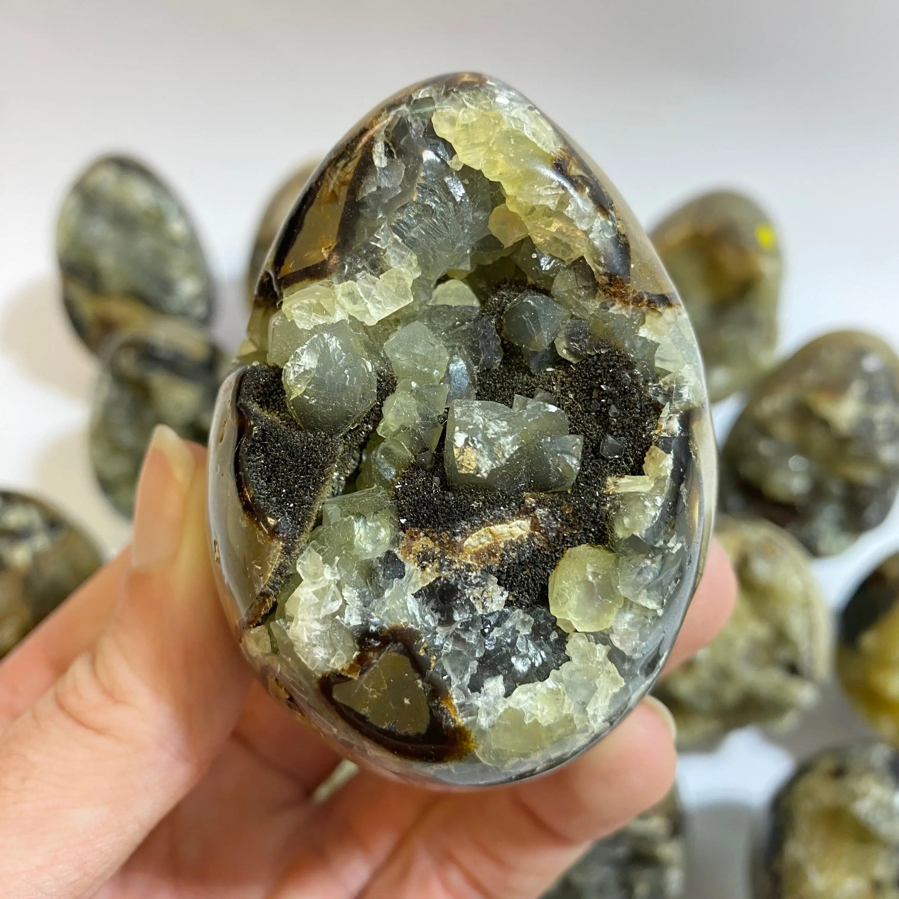 Septarian Agate Egg Arabella Crystals