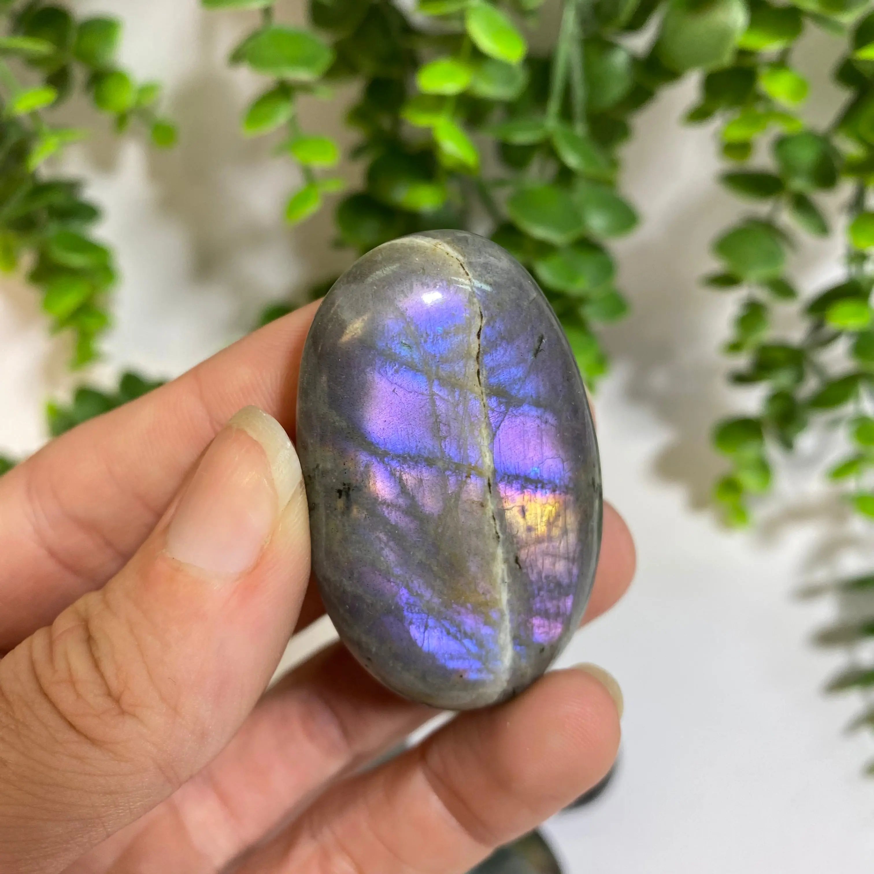 Purple Labradorite Palm Stone Arabella Crystals