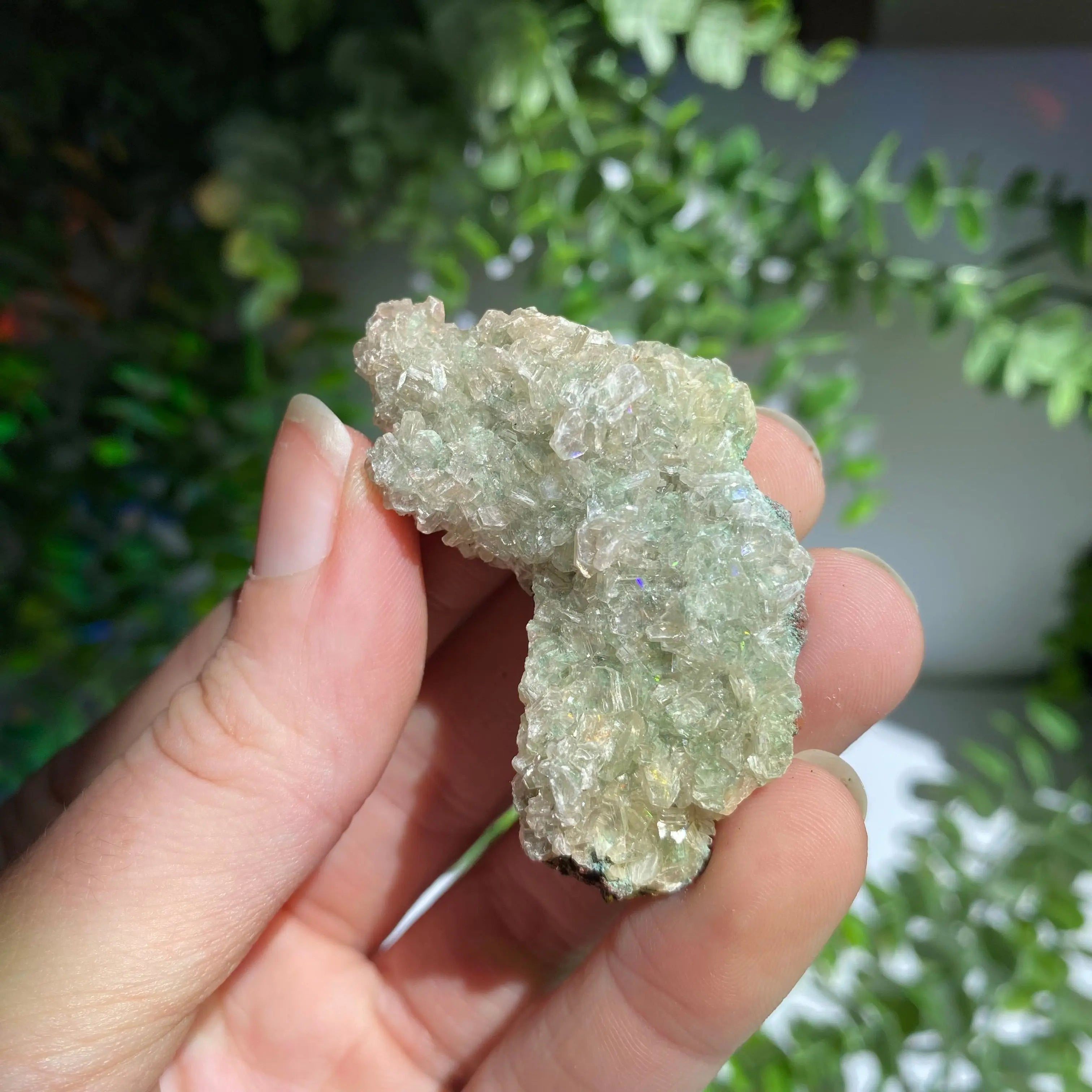 Zeolite Cluster Arabella Crystals