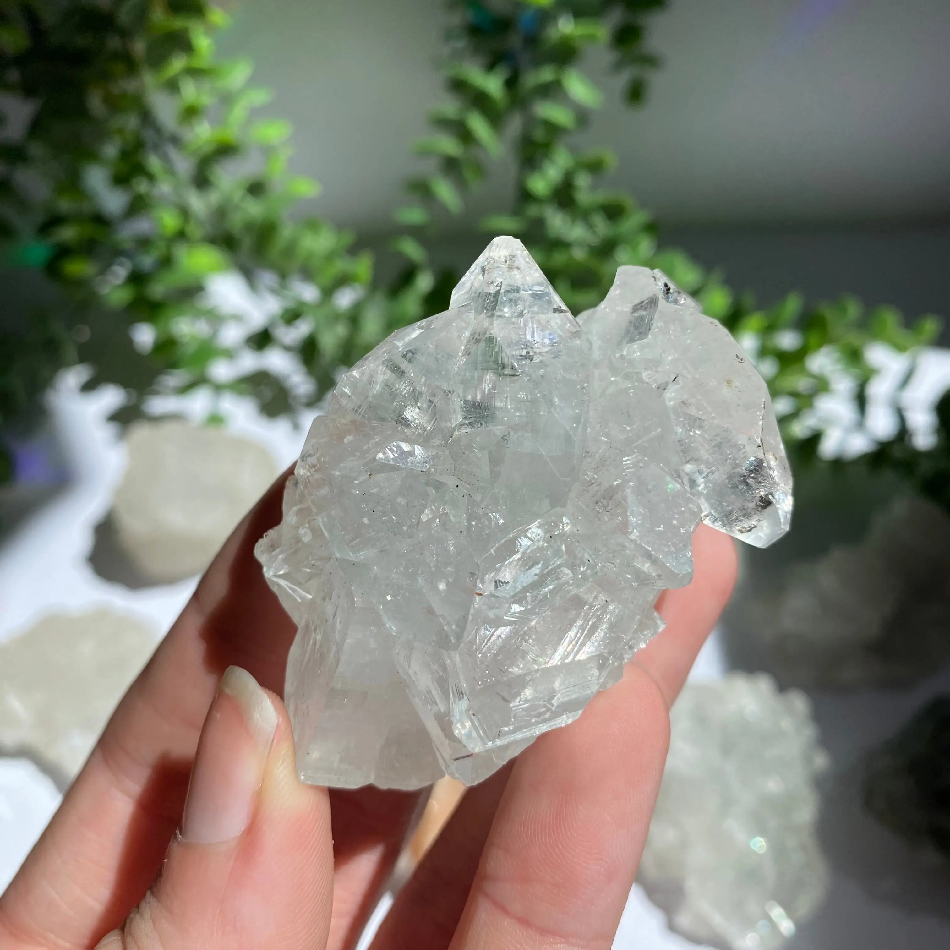 Zeolite Cluster Arabella Crystals