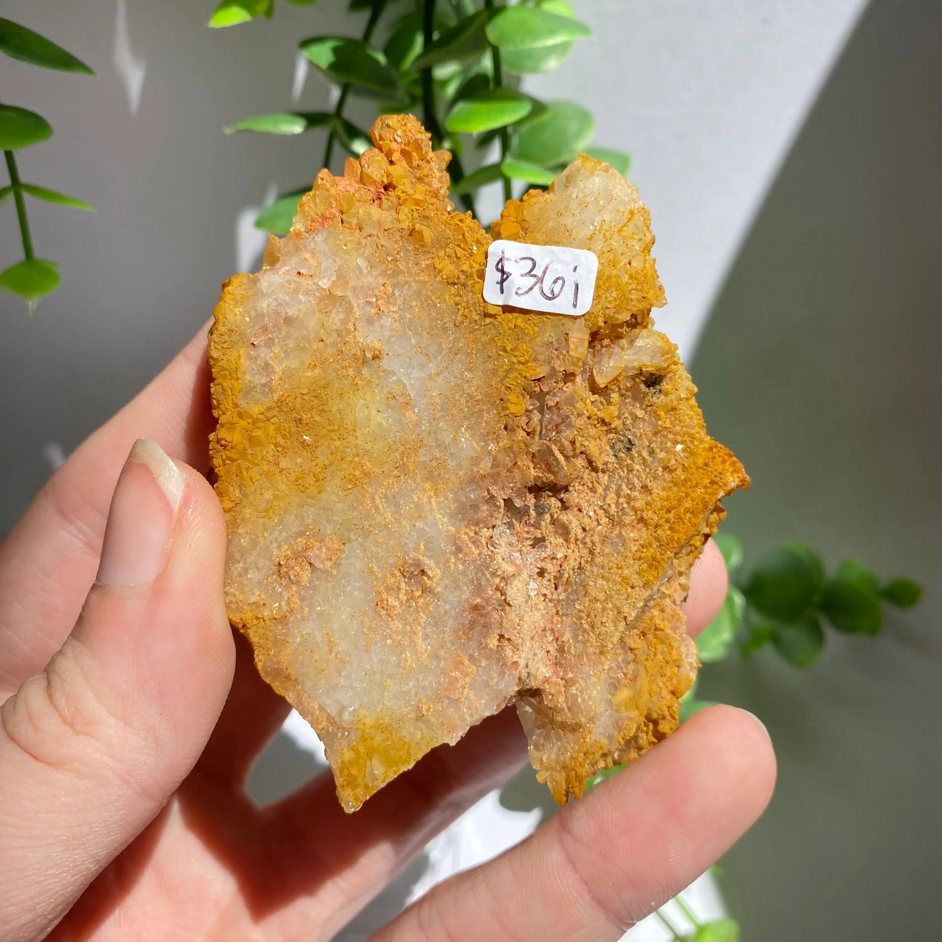Golden Healer Cluster Arabella Crystals