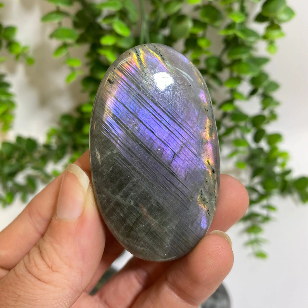 Purple Labradorite Palm Stone Arabella Crystals