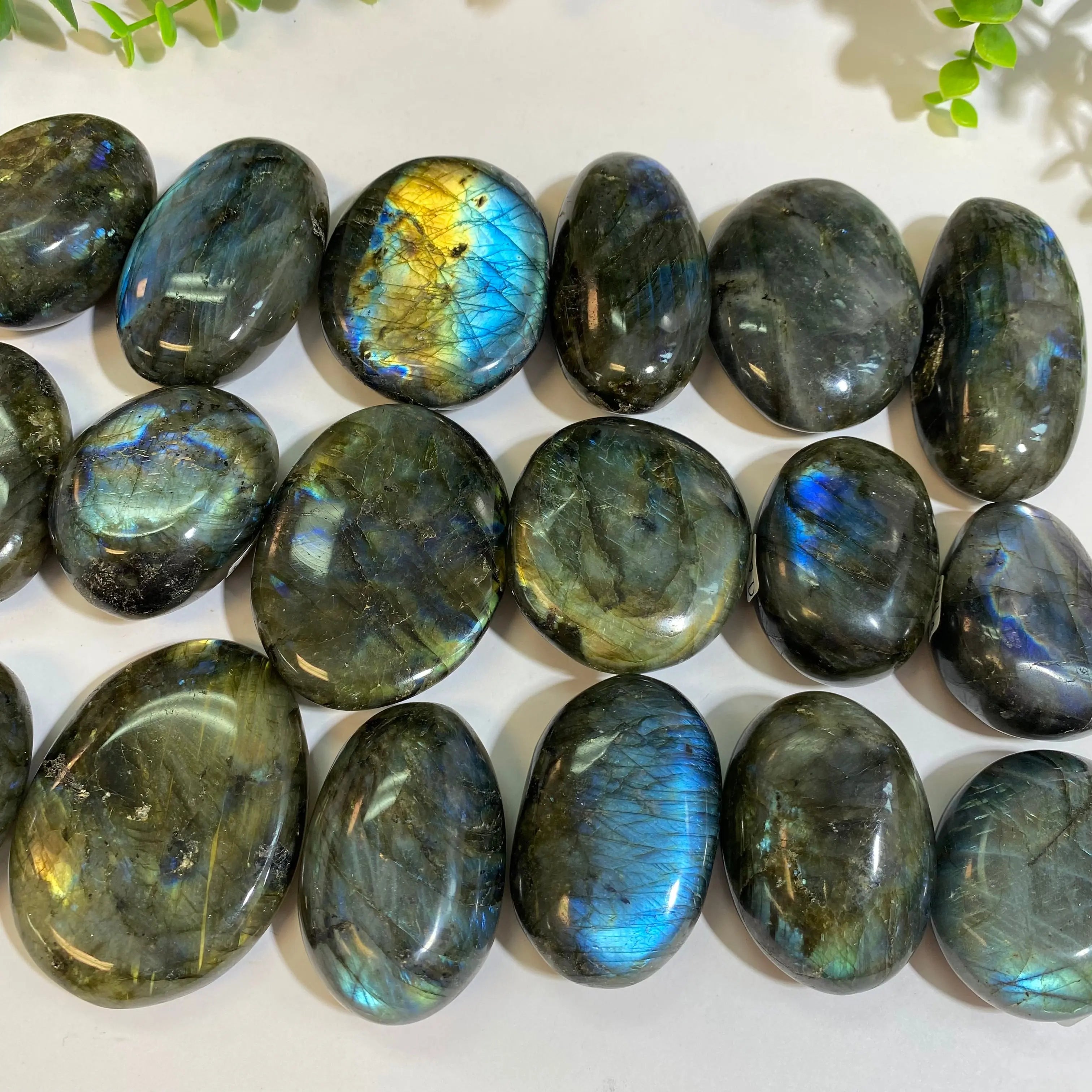 Labradorite Palm Stone Arabella Crystals