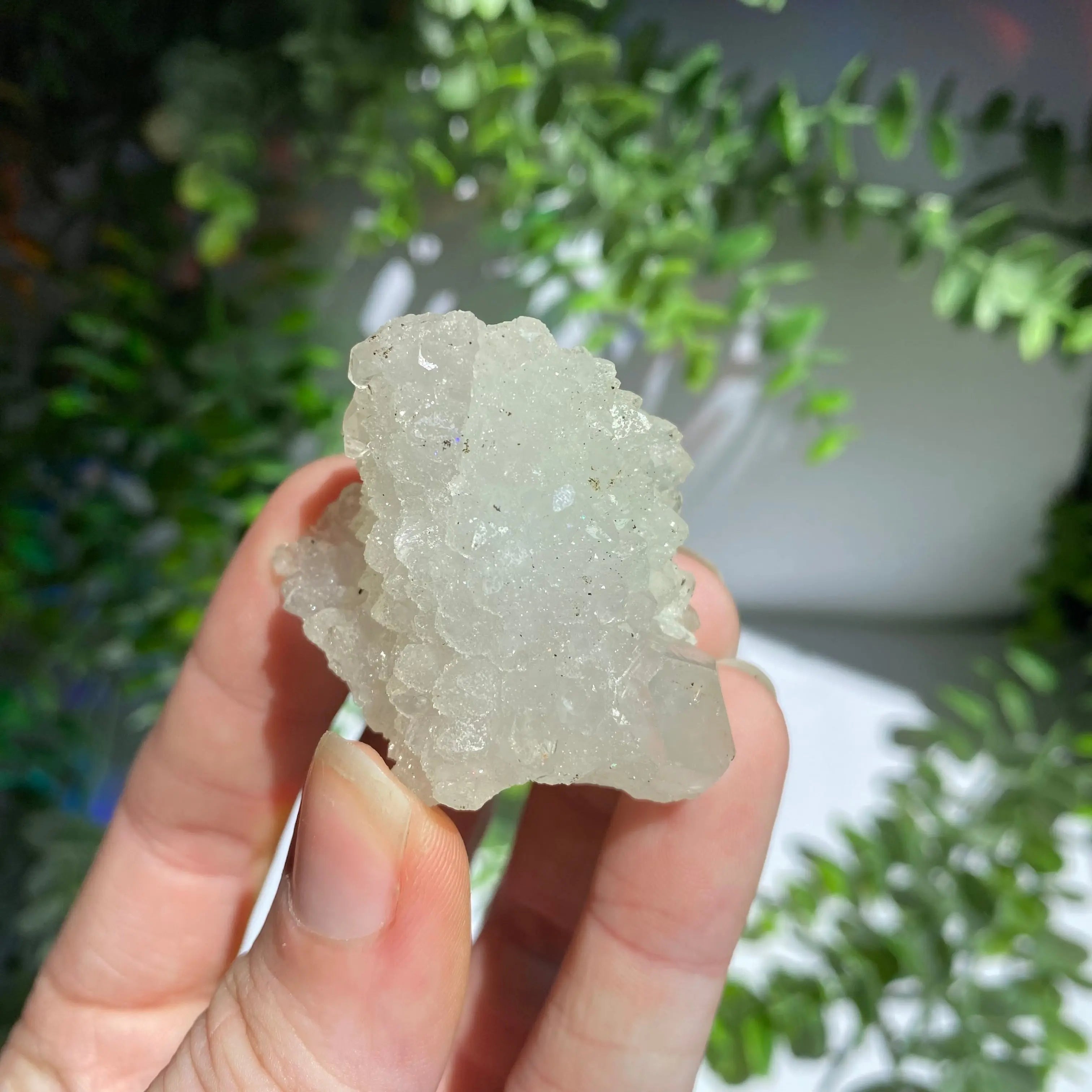 Zeolite Cluster Arabella Crystals