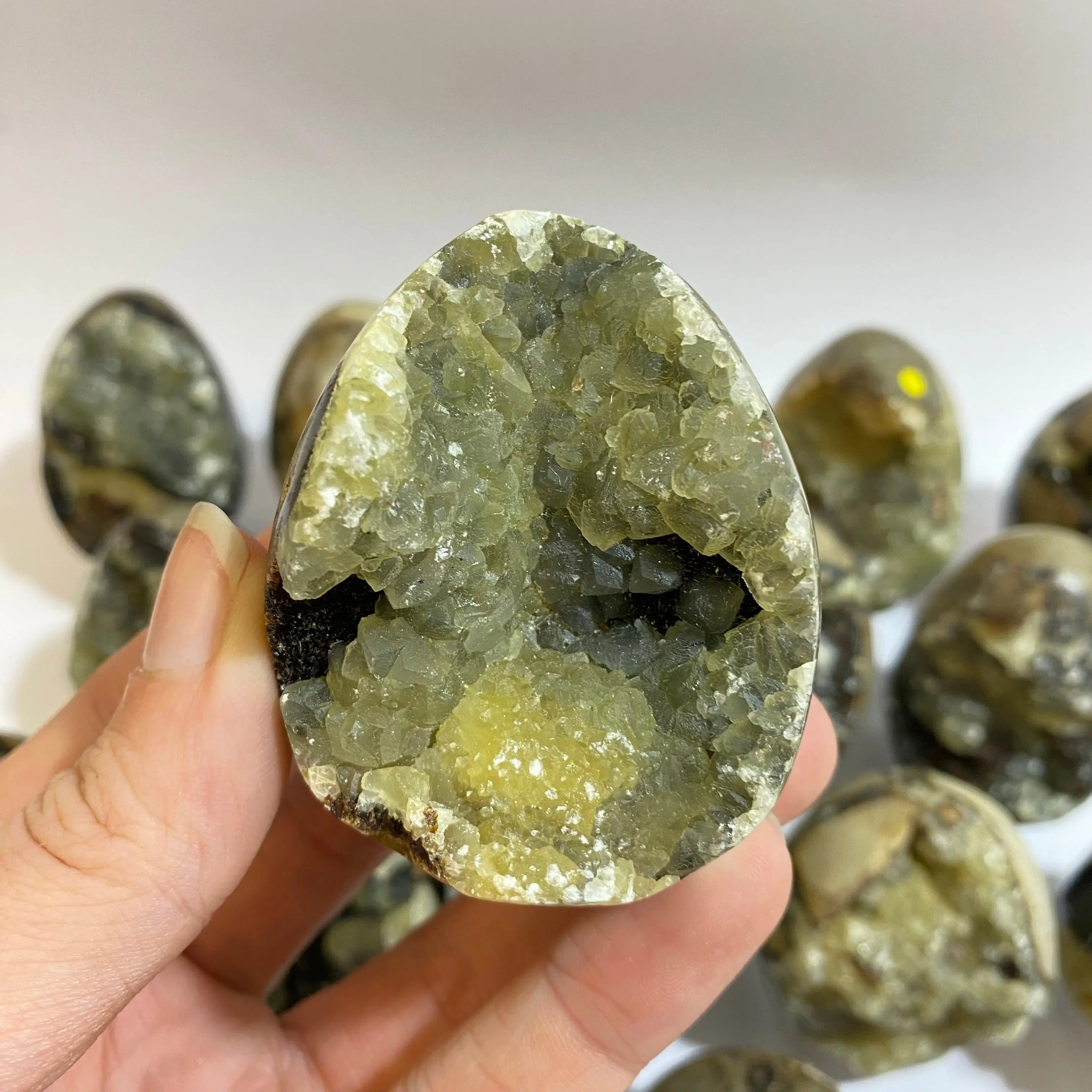 Septarian Agate Egg Arabella Crystals