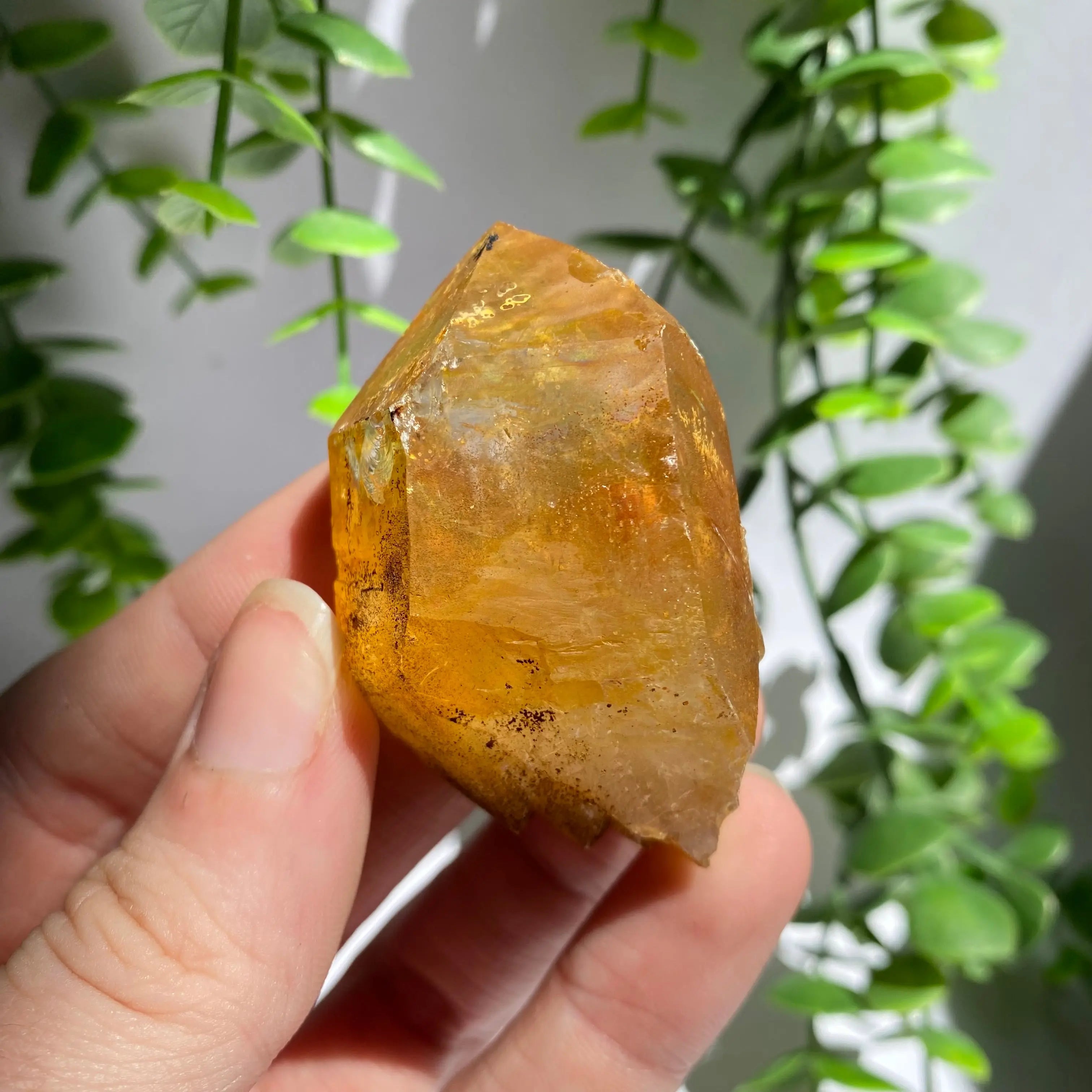 Golden Healer Cluster Arabella Crystals