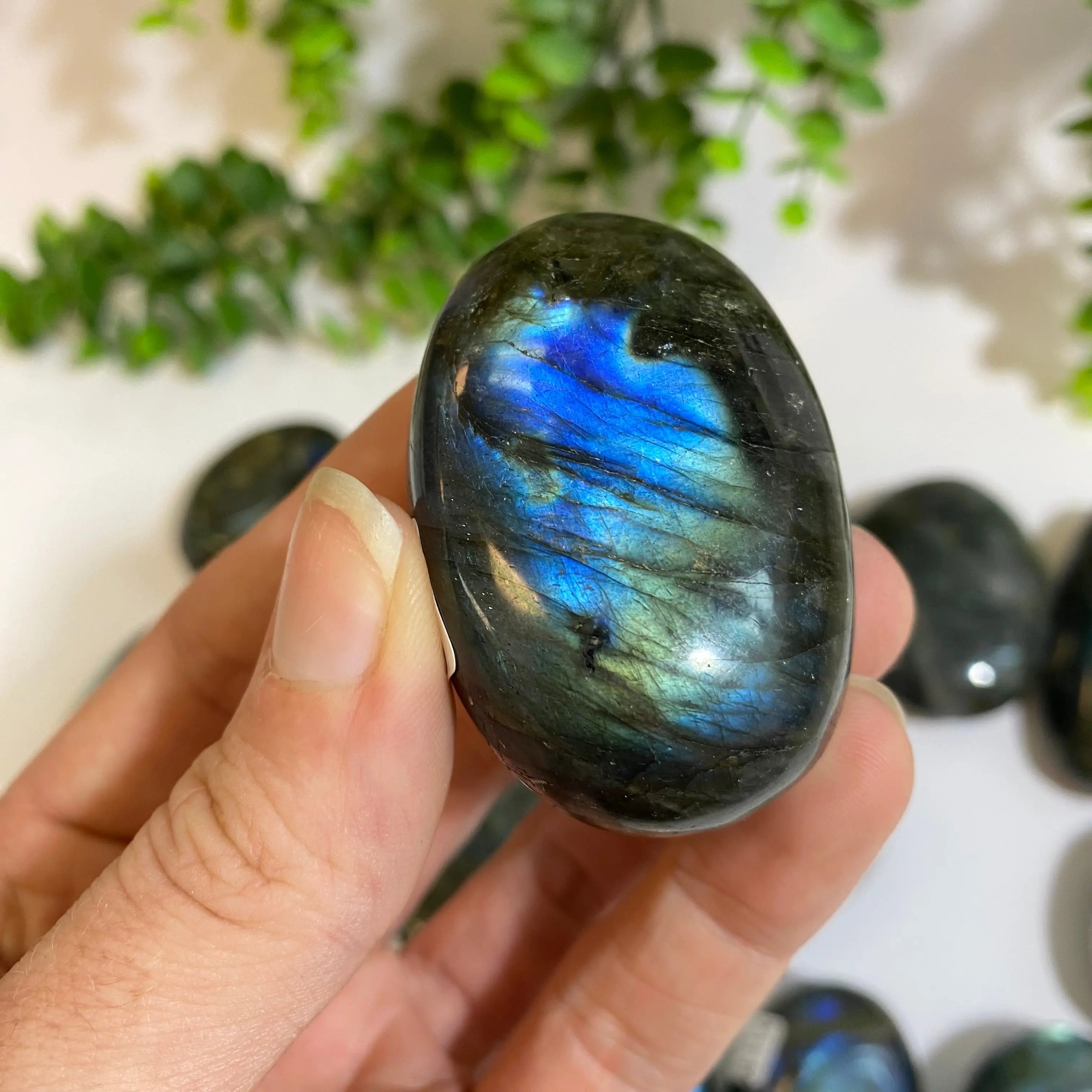 Labradorite Palm Stone Arabella Crystals