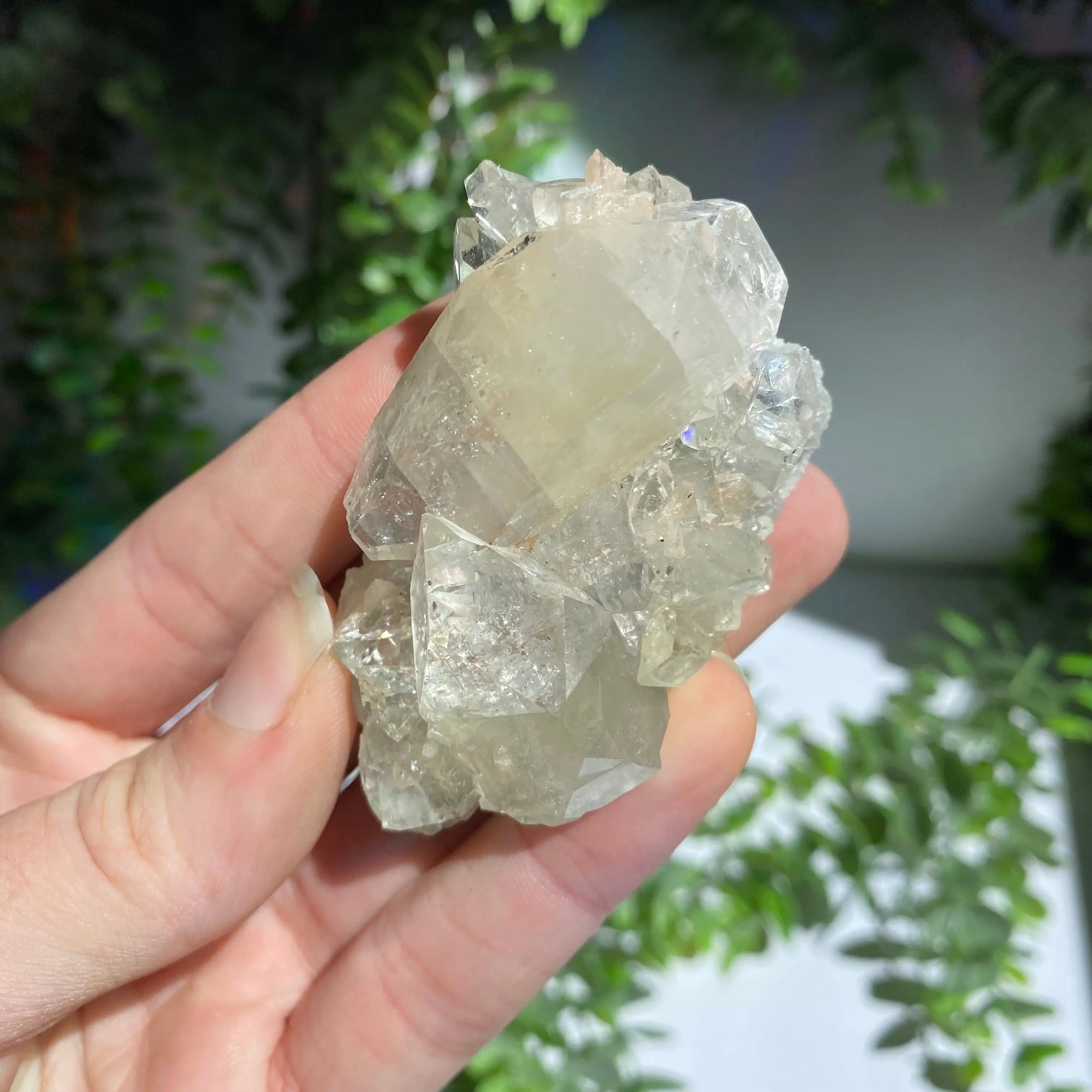 Zeolite Cluster Arabella Crystals