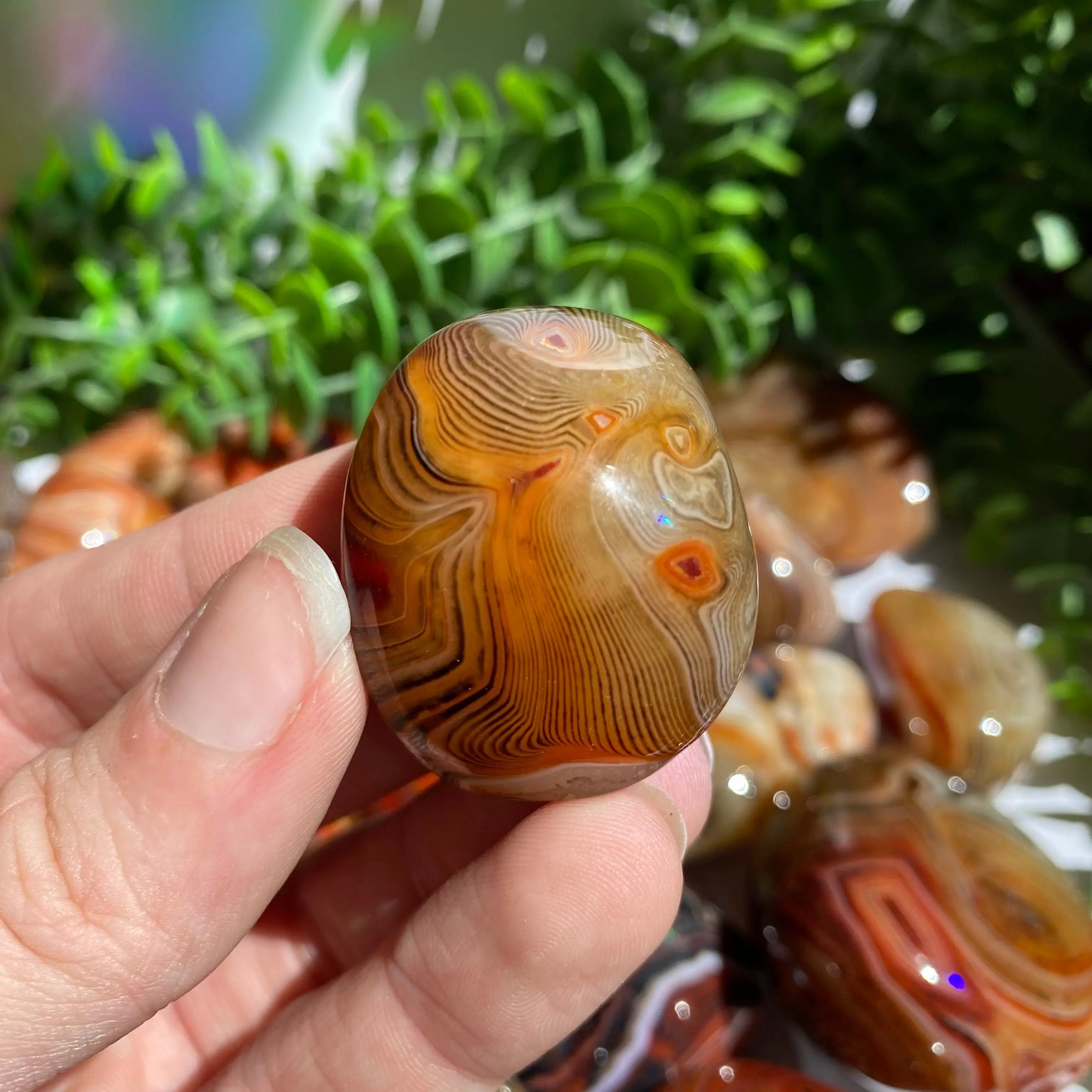 Sardonyx (Carnelian X Onyx) Palm Stone for Passion & Creativity