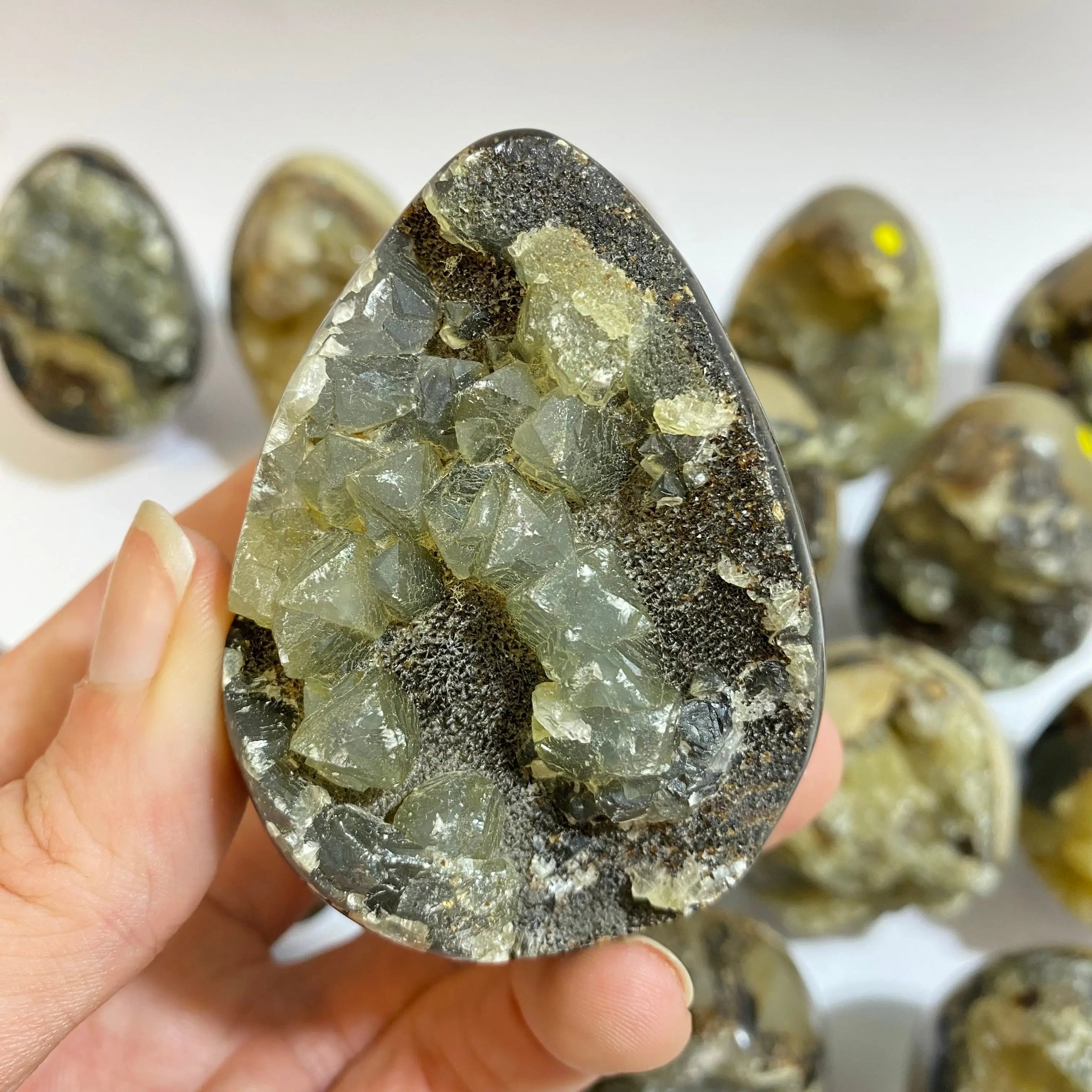Septarian Agate Egg Arabella Crystals