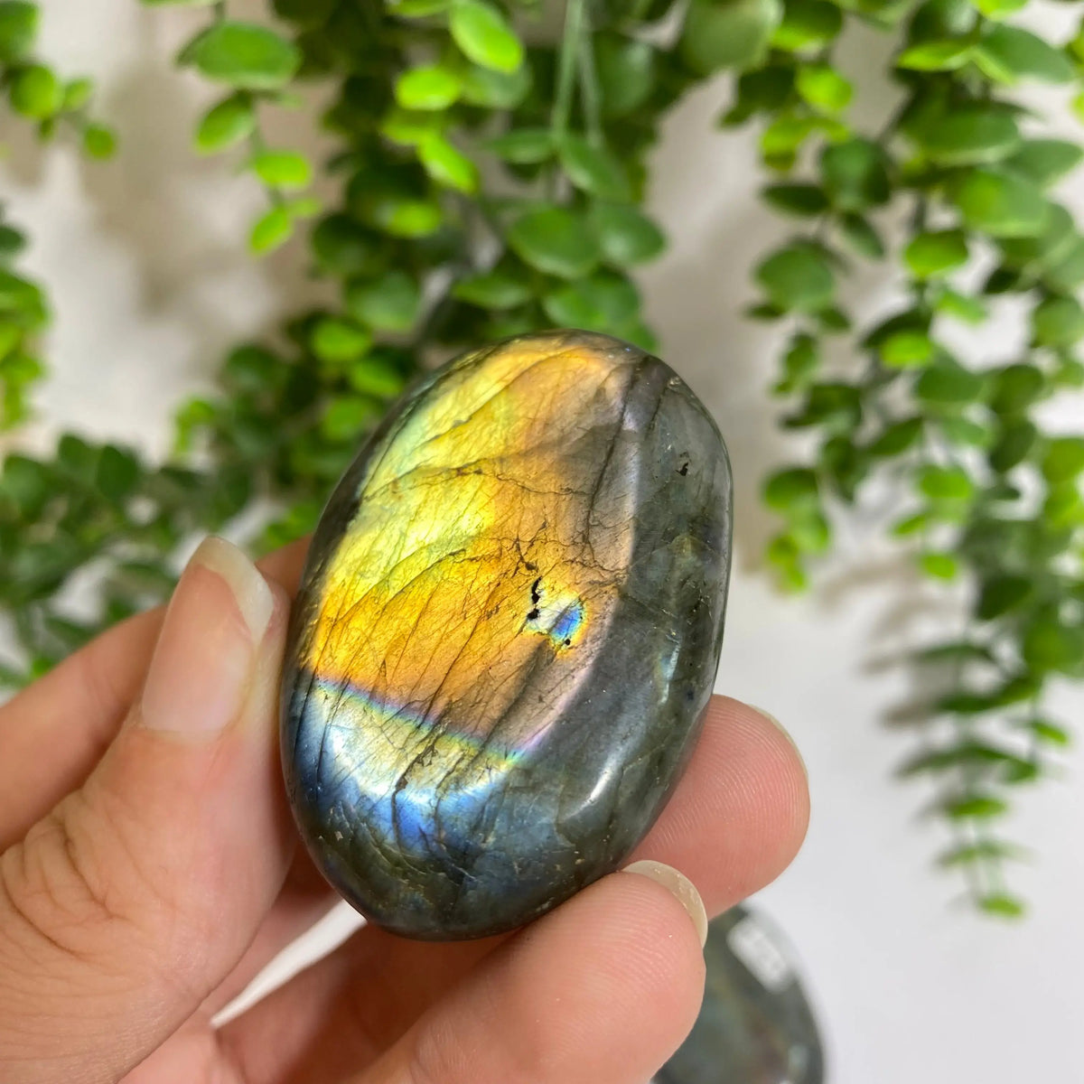 Purple Labradorite Palm Stone Arabella Crystals