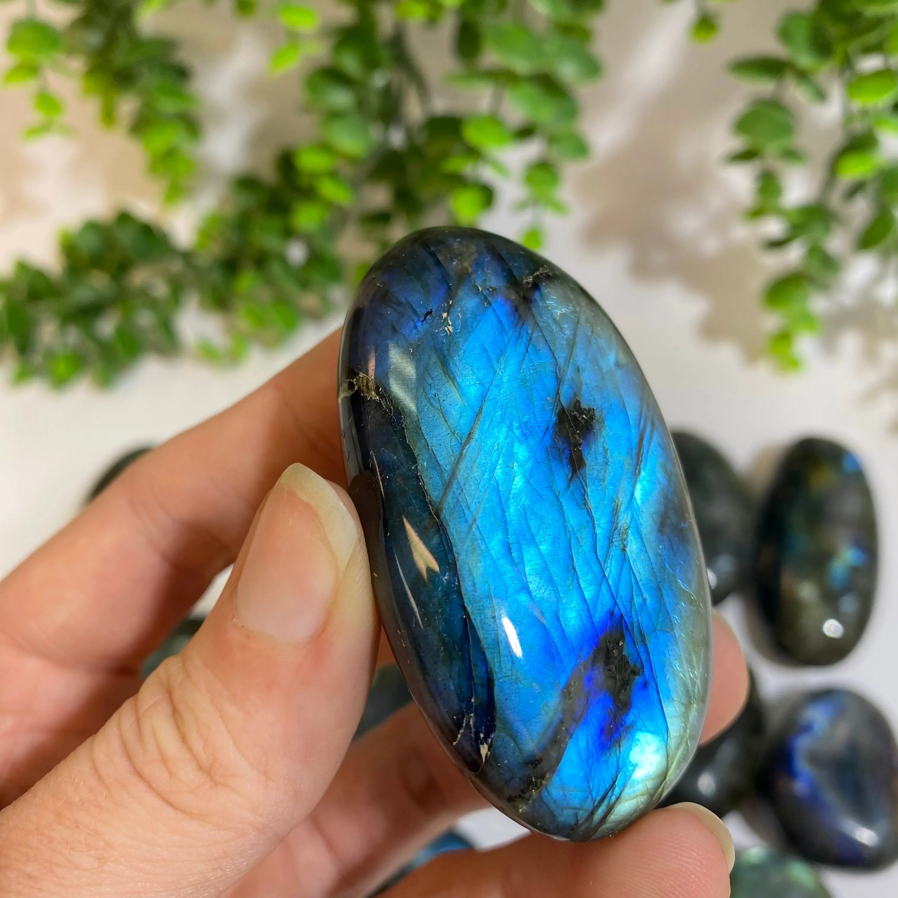 Labradorite Palm Stone Arabella Crystals