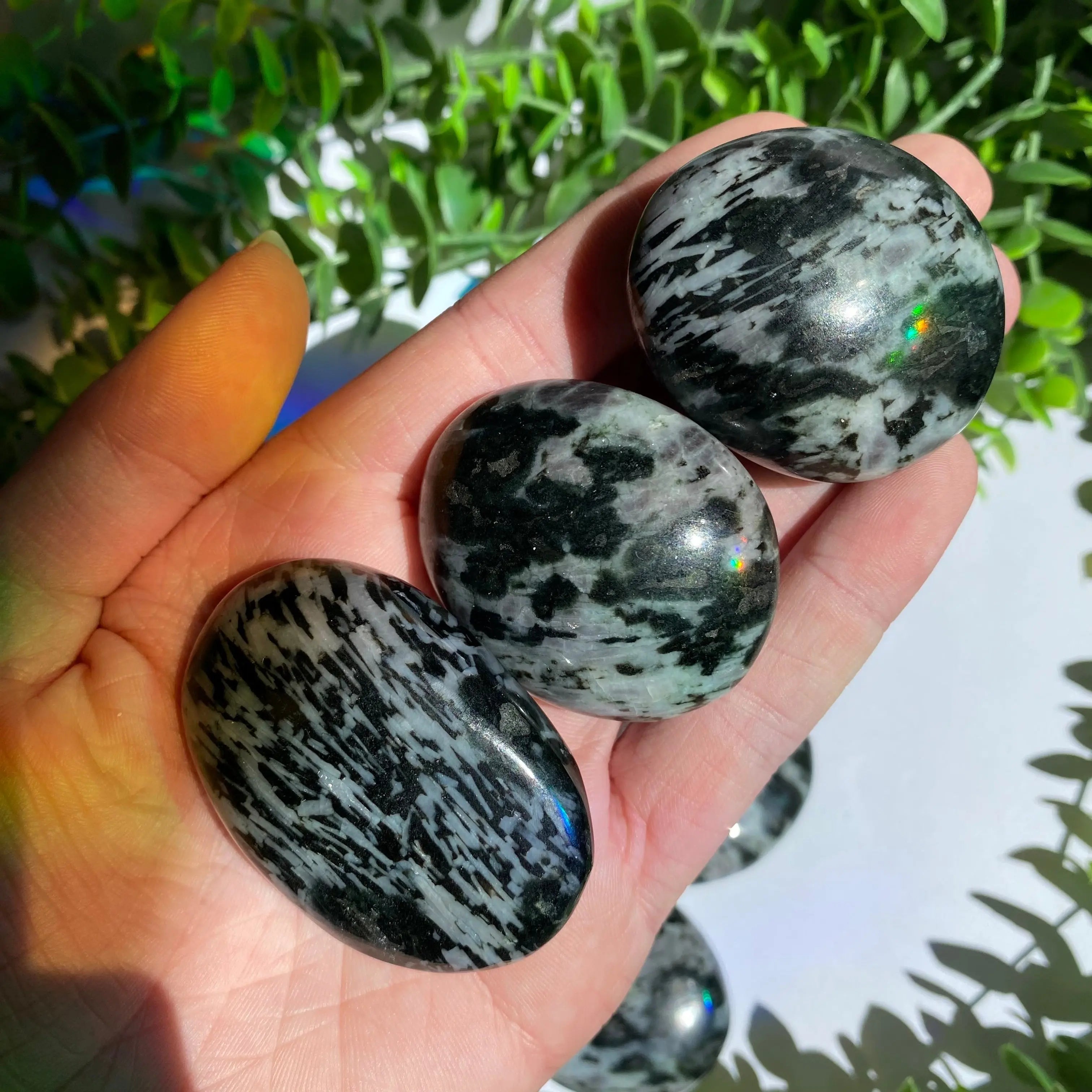Indigo Gabbro Palm Stone Arabella Crystals