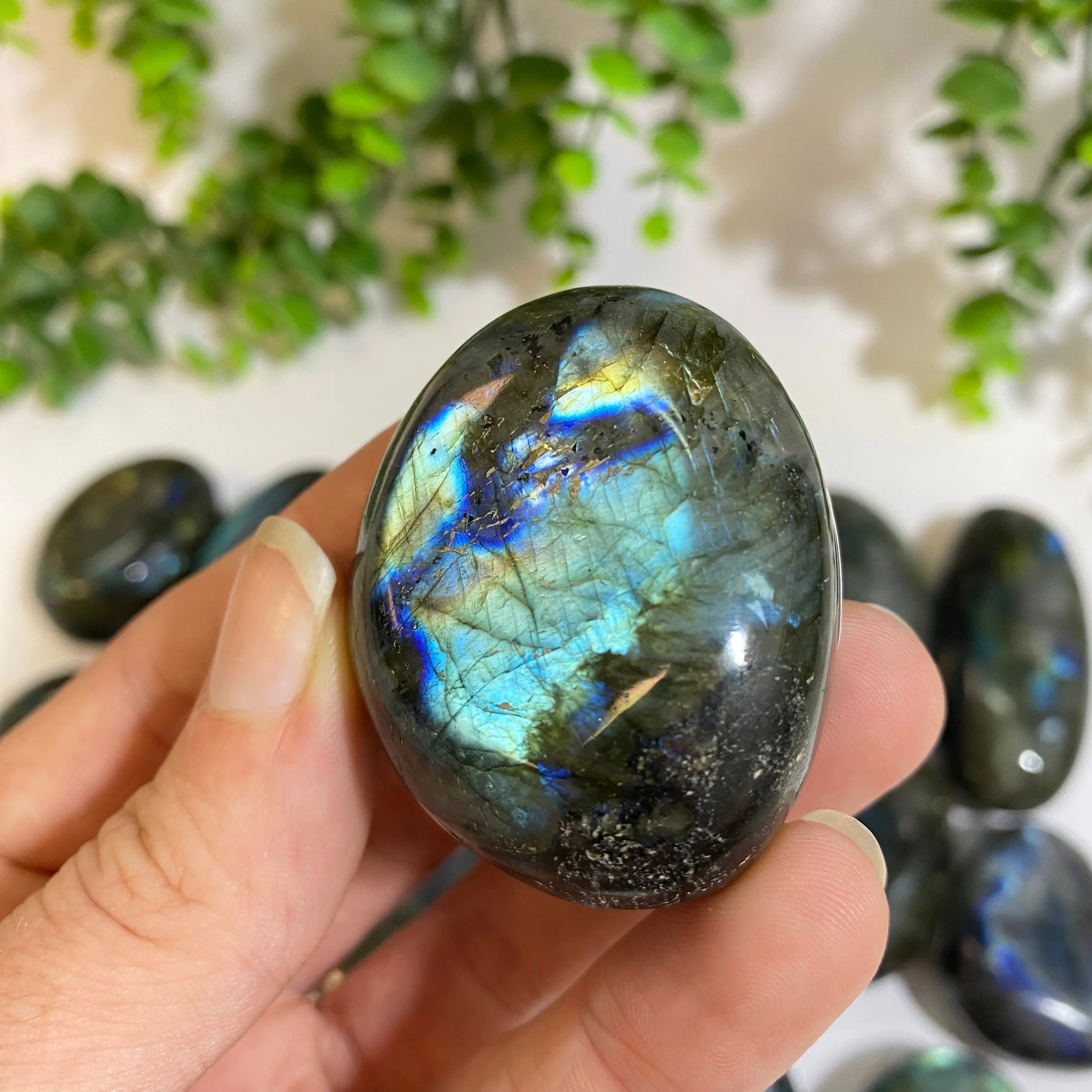 Labradorite Palm Stone Arabella Crystals
