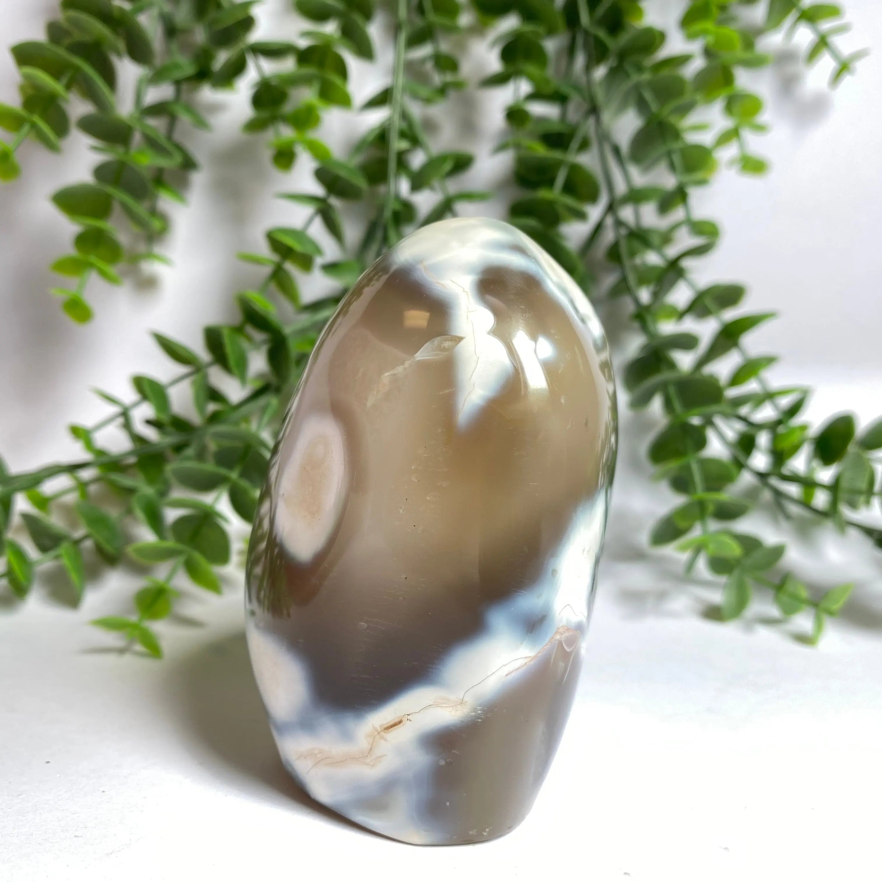 Orca Agate Free Form Arabella Crystals