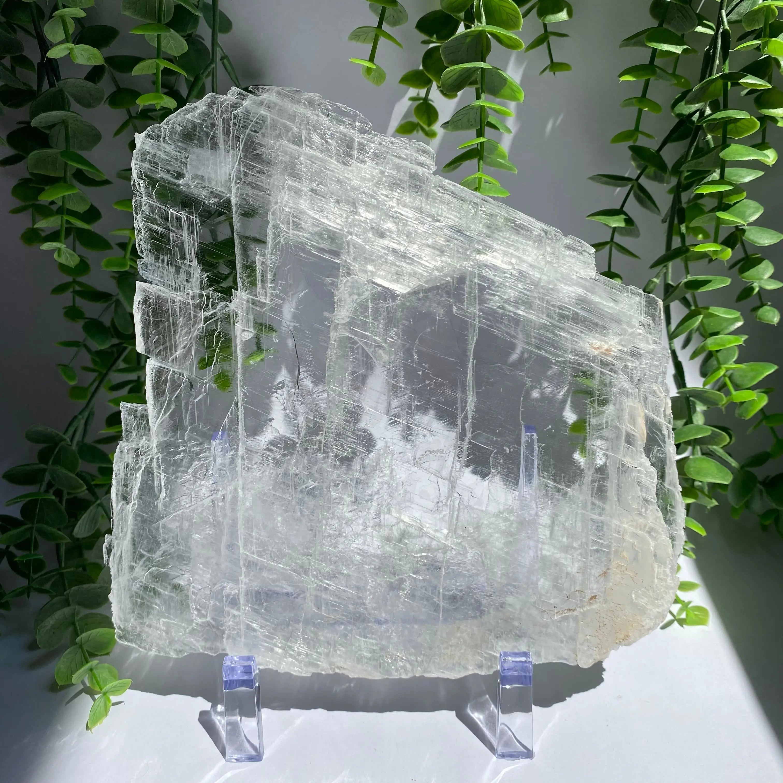 Selenite Slice Arabella Crystals