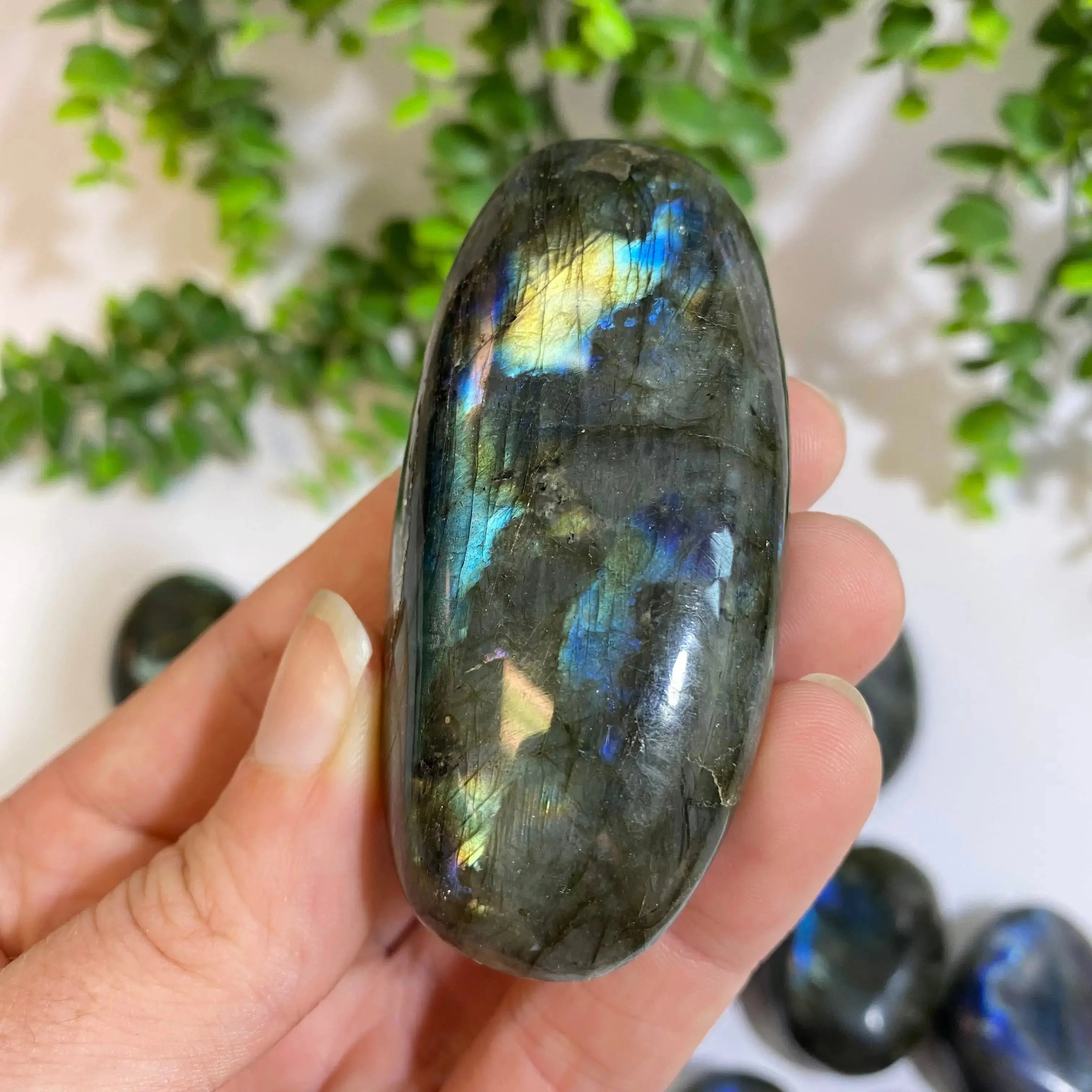Labradorite Palm Stone Arabella Crystals