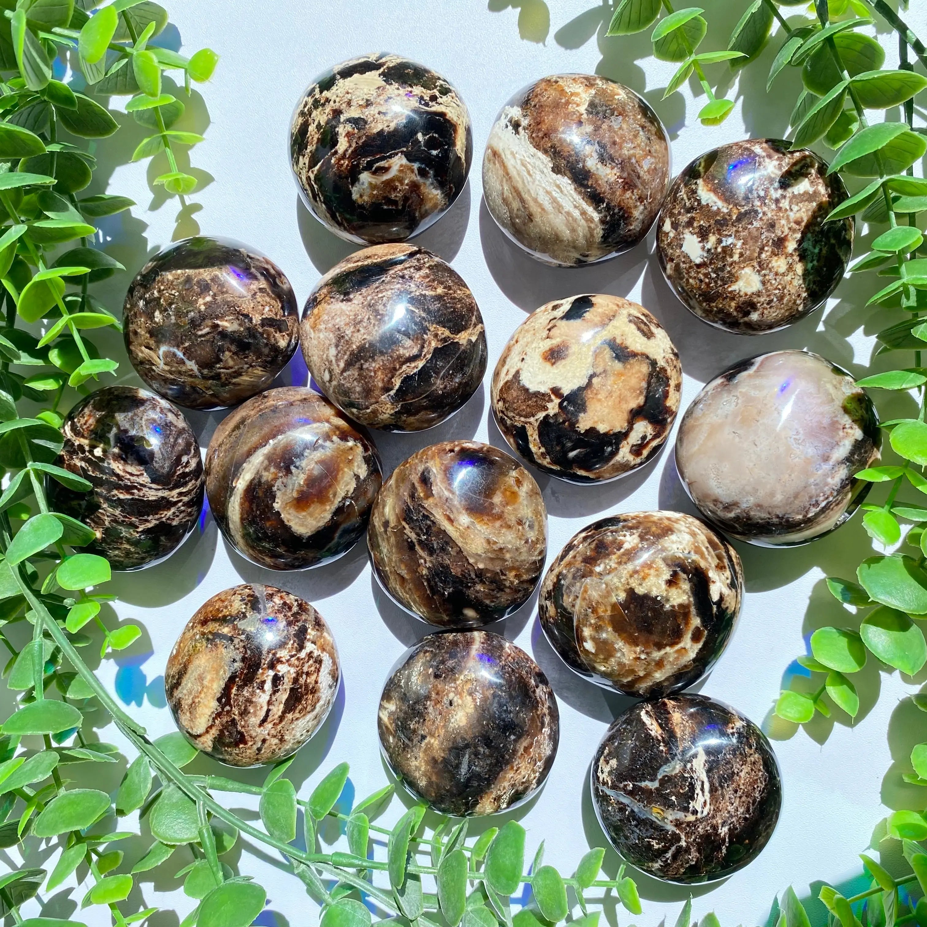 Chocolate Calcite Palm Stone Arabella Crystals
