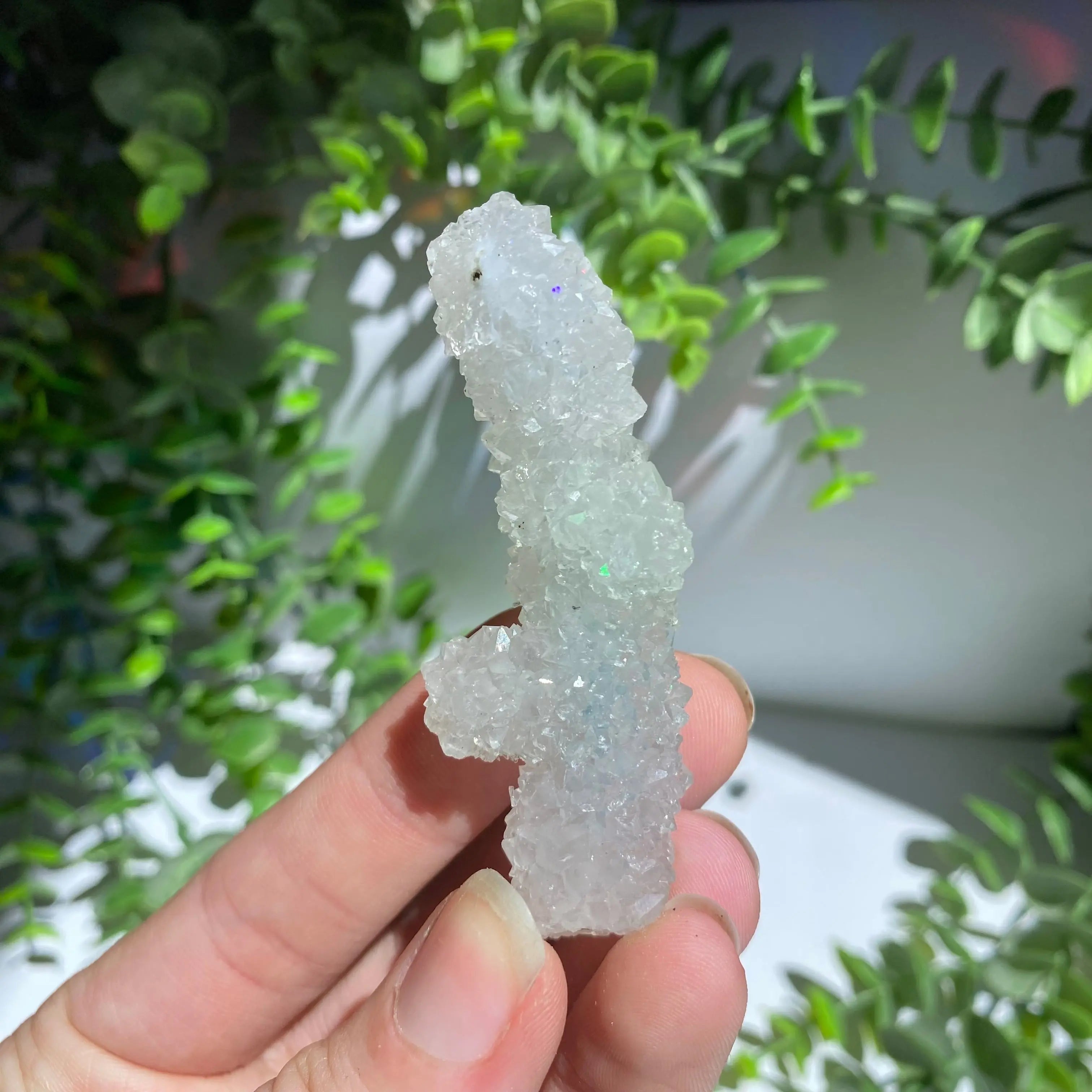 Zeolite Cluster Arabella Crystals