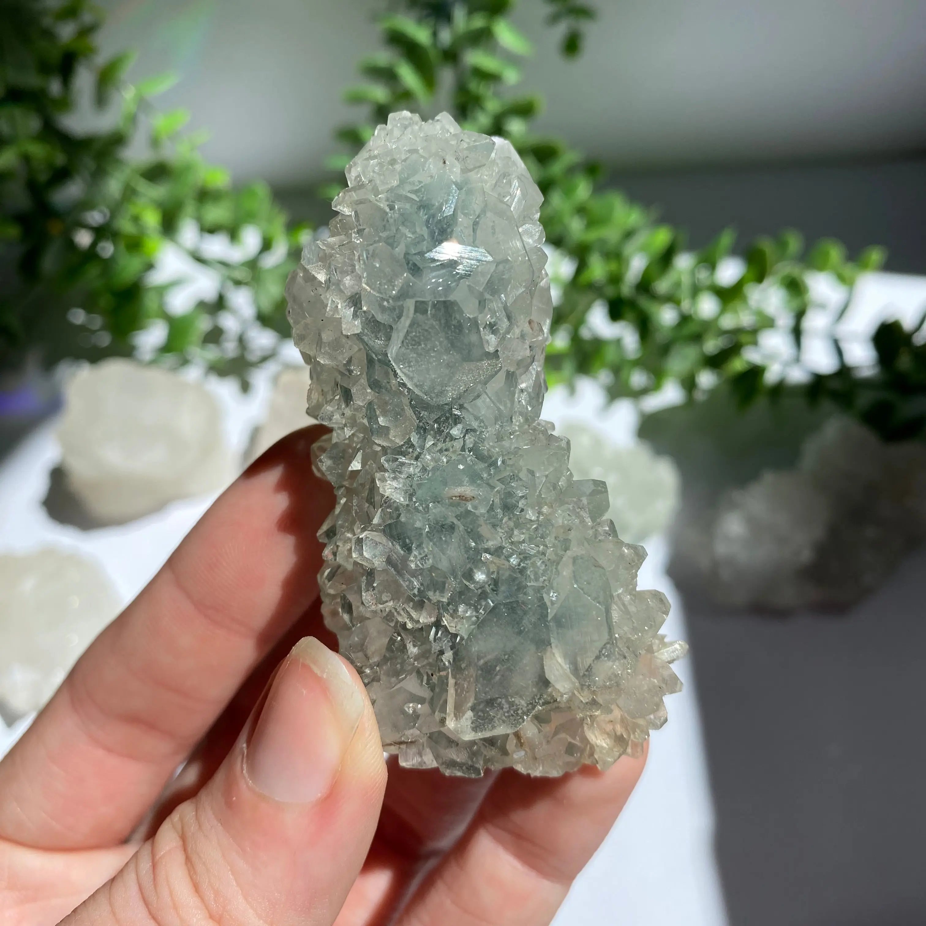 Zeolite Cluster Arabella Crystals