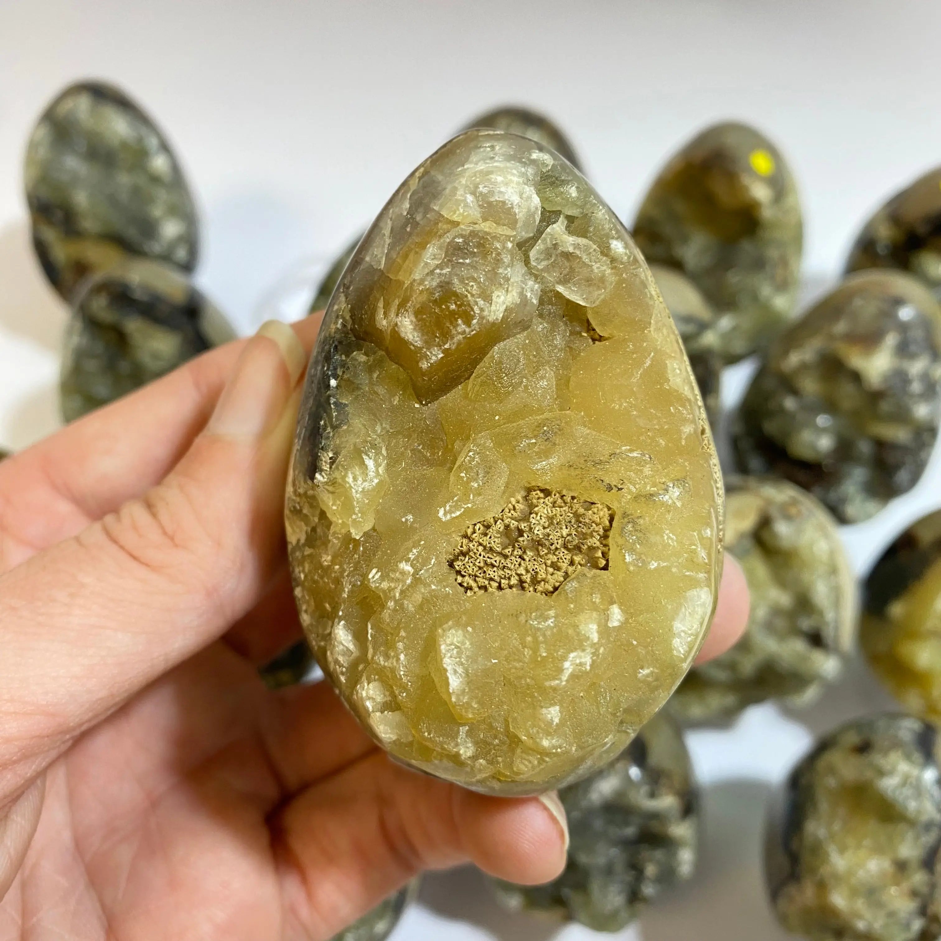 Septarian Agate Egg Arabella Crystals