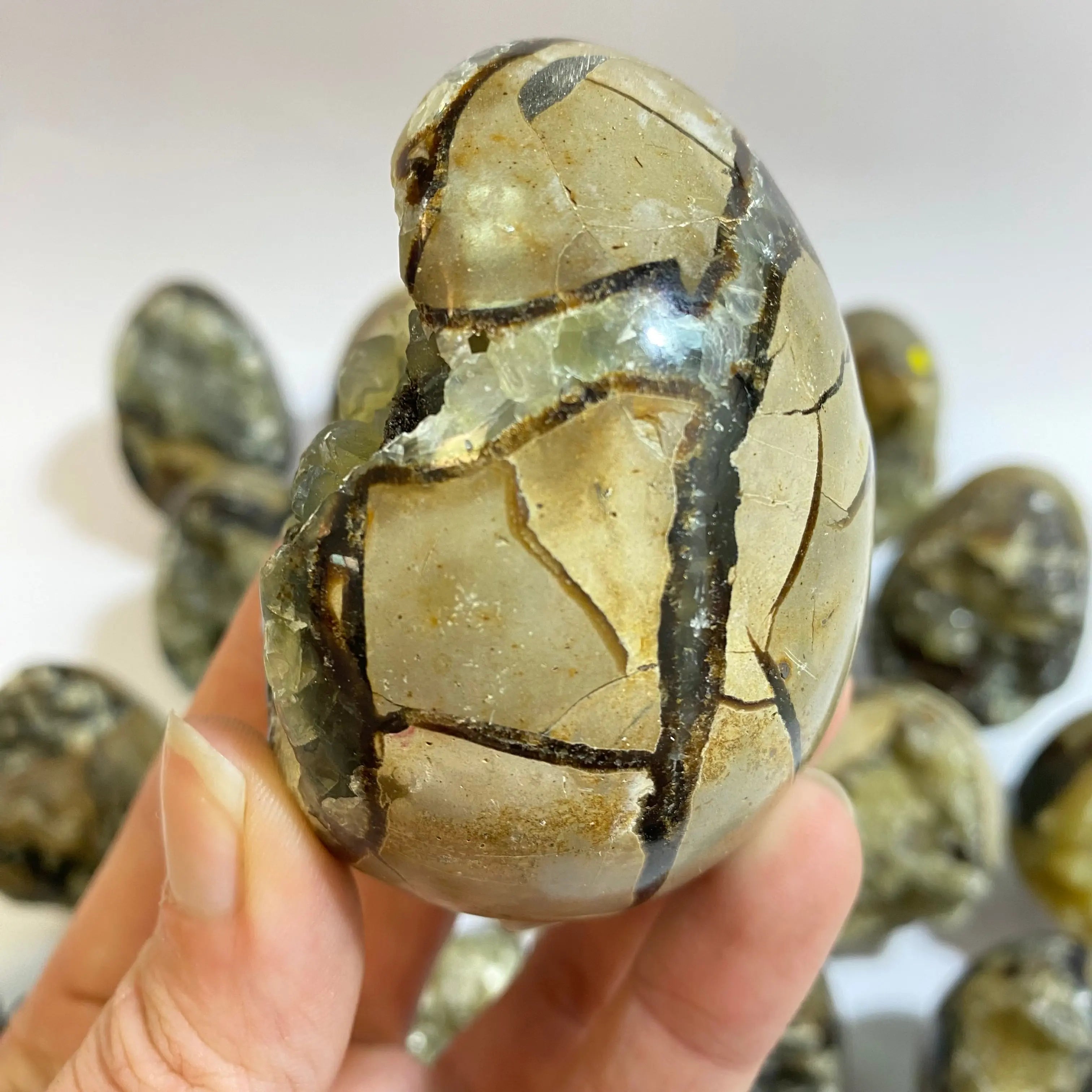 Septarian Agate Egg Arabella Crystals