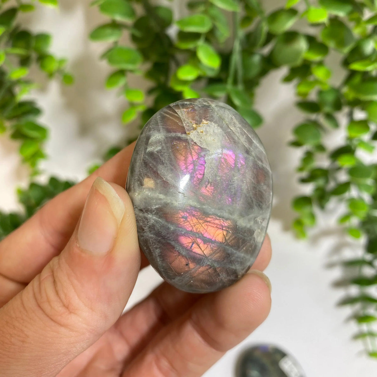 Purple Labradorite Palm Stone Arabella Crystals
