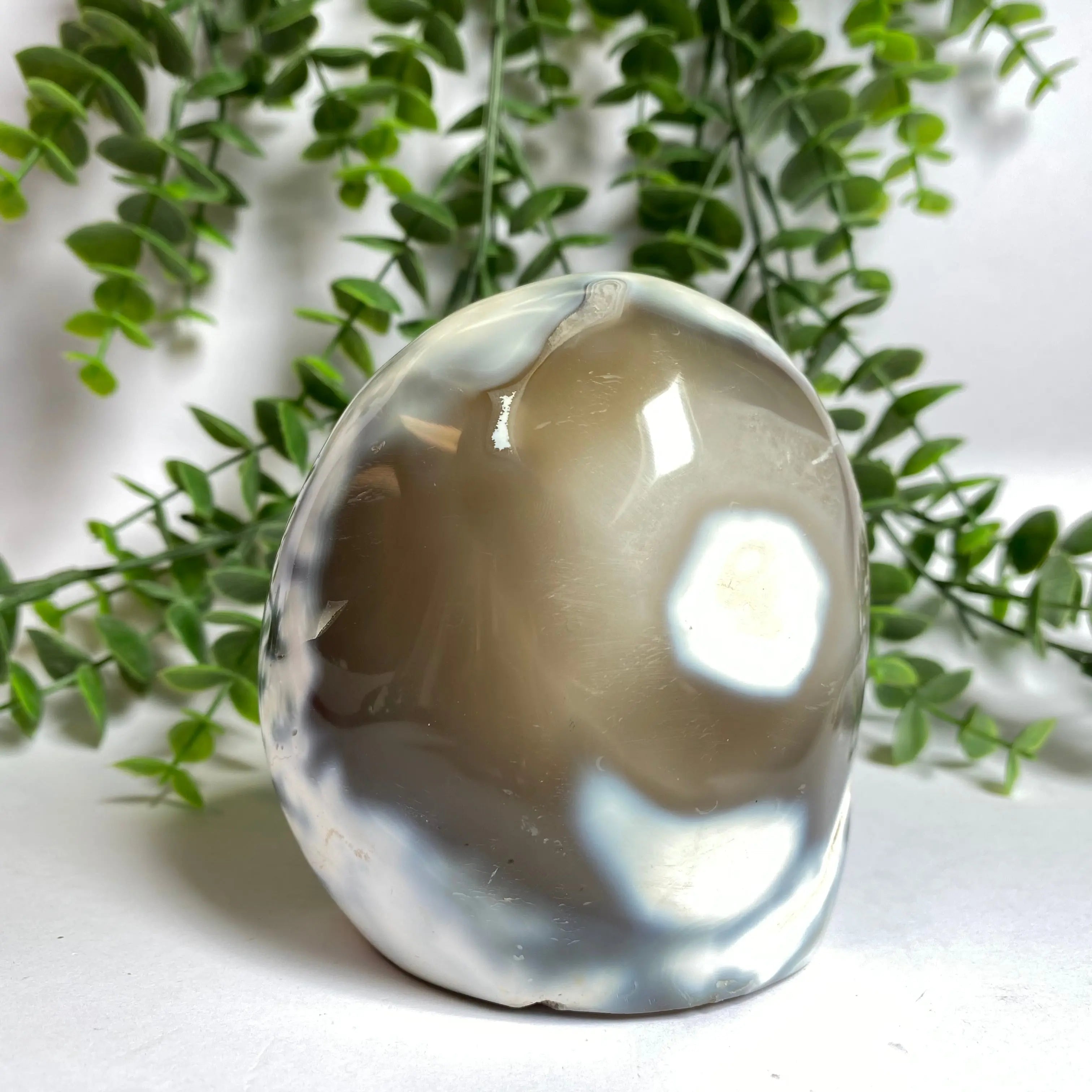 Orca Agate Free Form Arabella Crystals