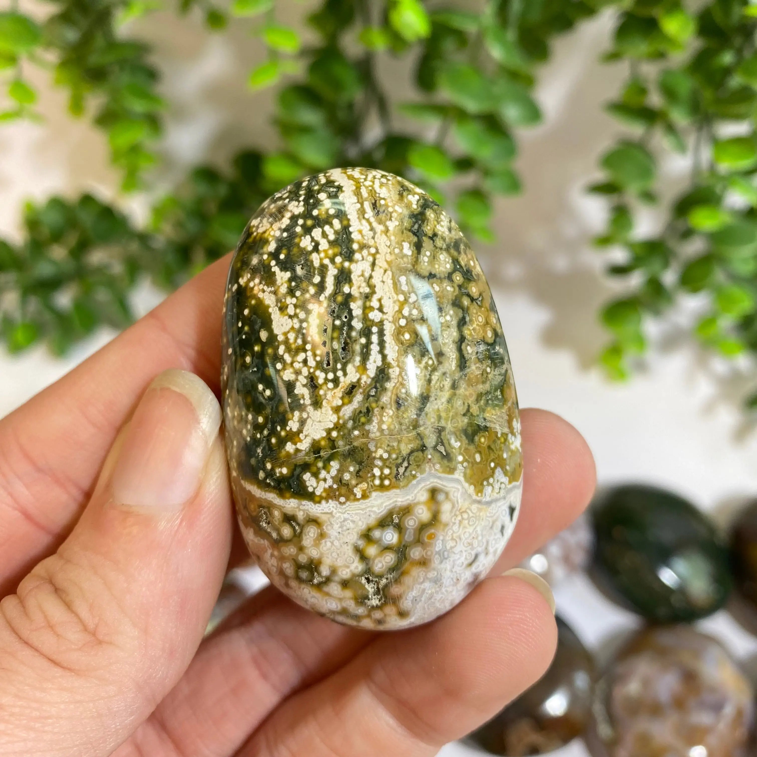 Ocean Jasper Palm Stone Arabella Crystals