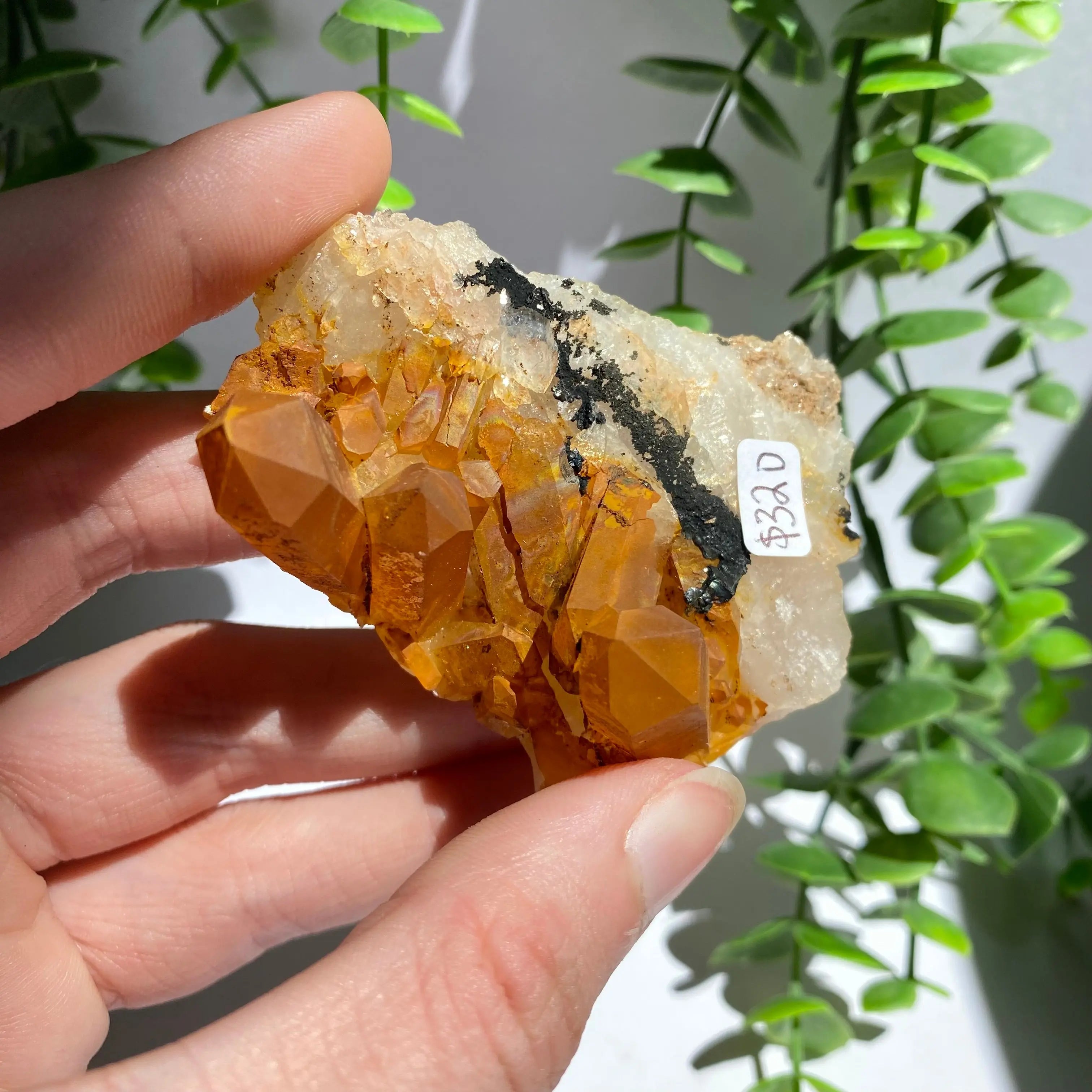 Golden Healer Cluster Arabella Crystals
