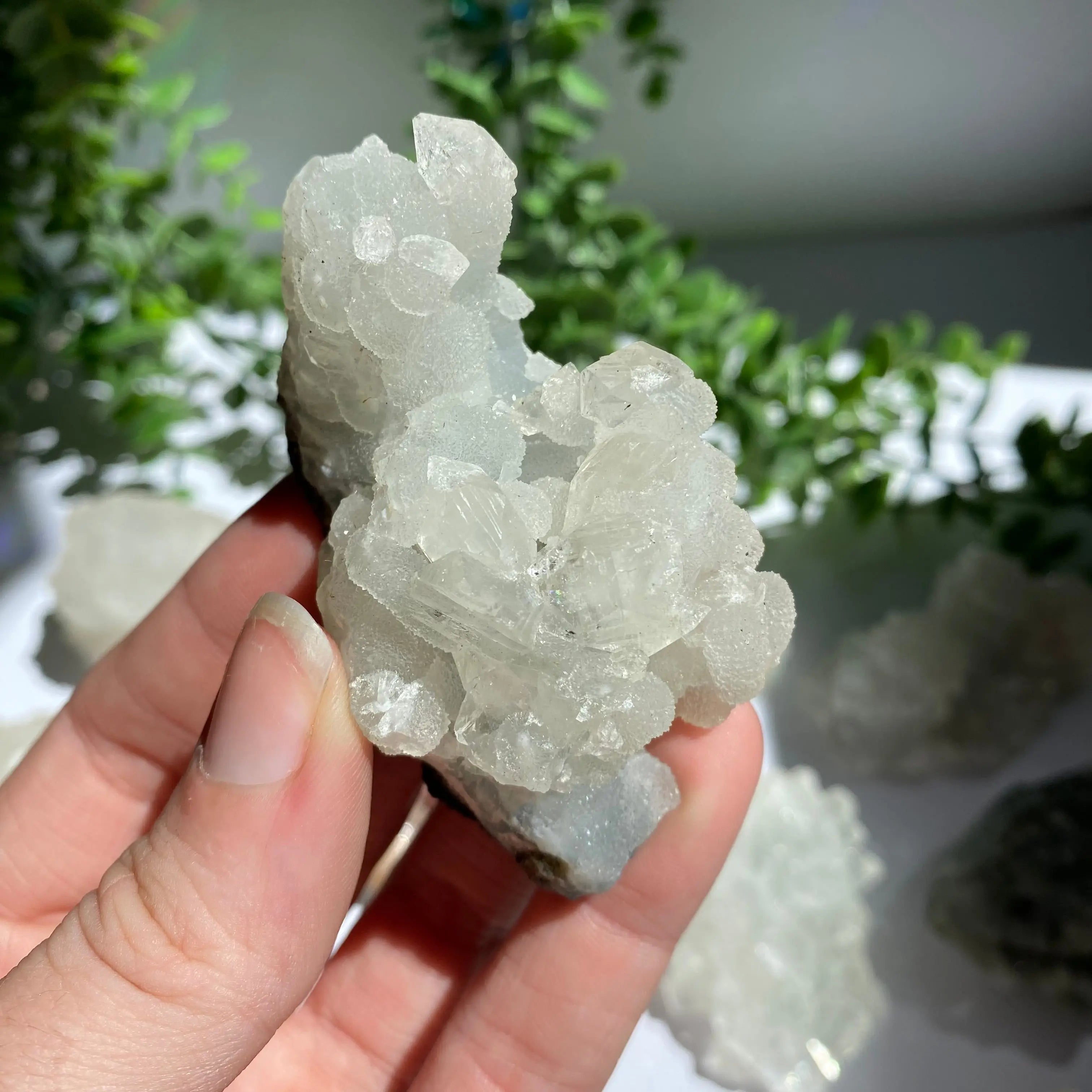 Zeolite Cluster Arabella Crystals