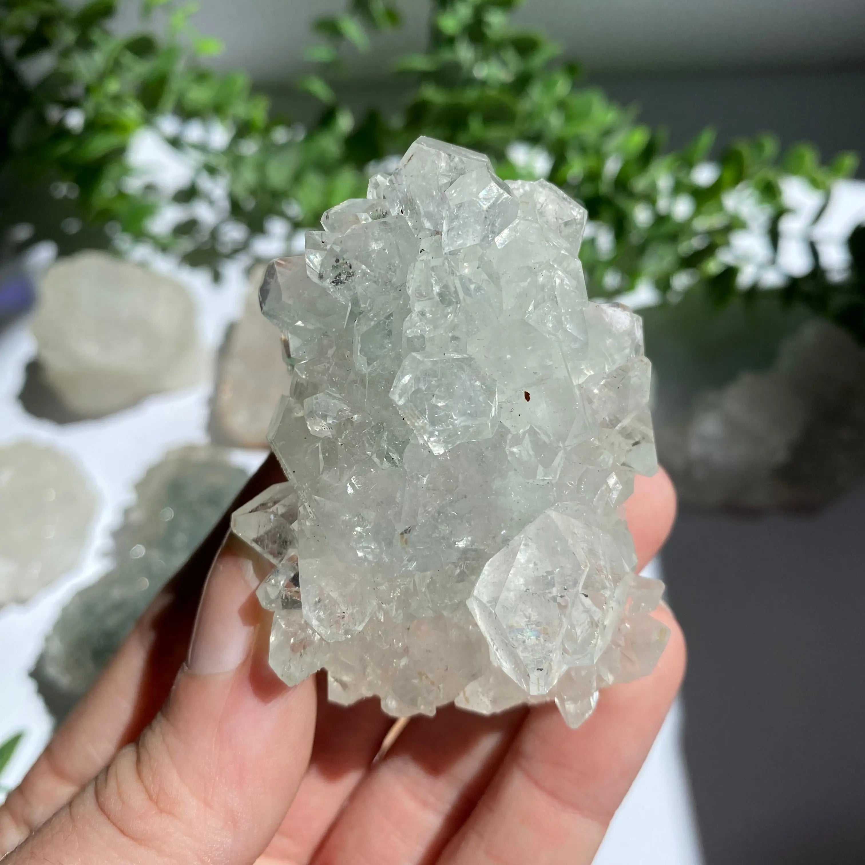 Zeolite Cluster Arabella Crystals