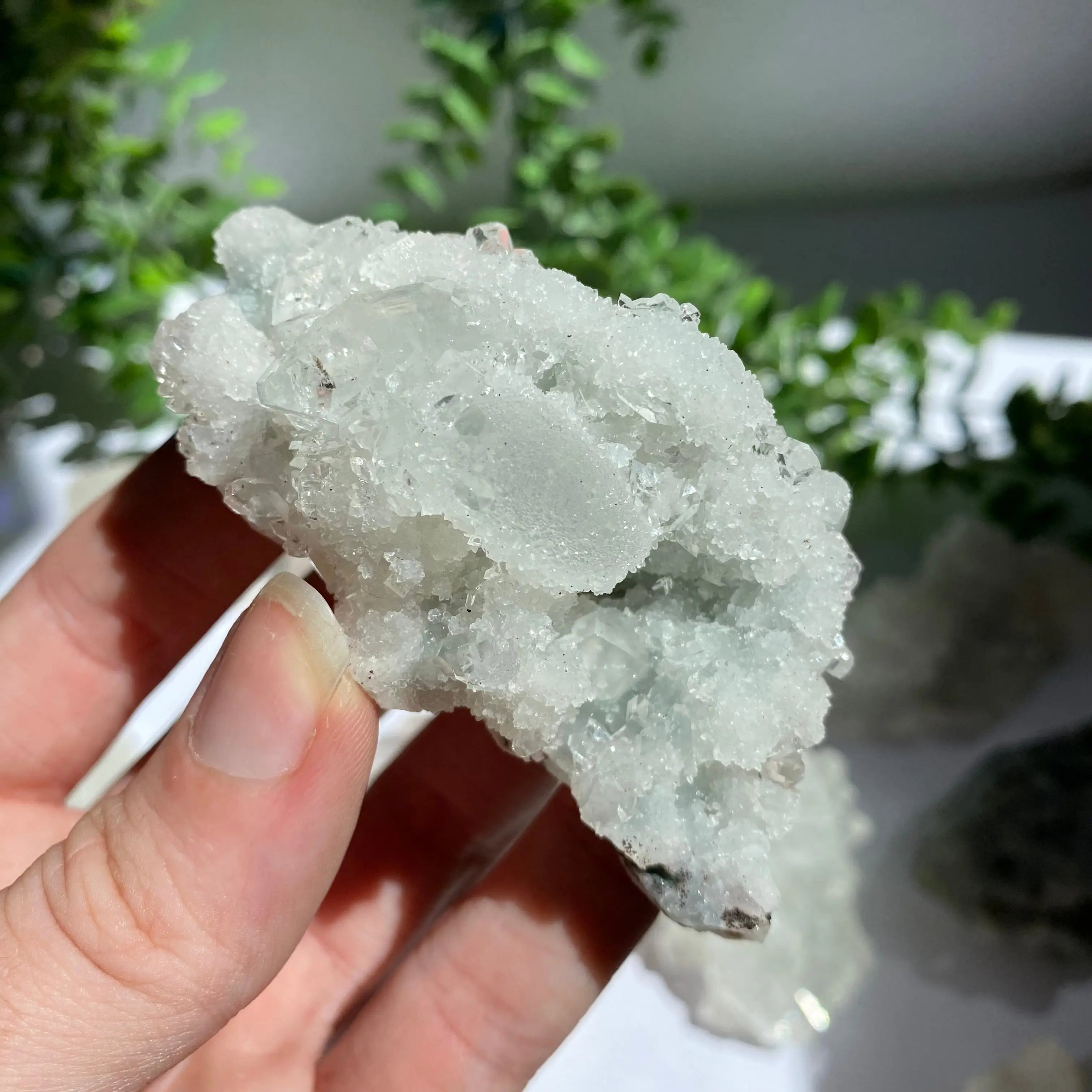 Zeolite Cluster Arabella Crystals