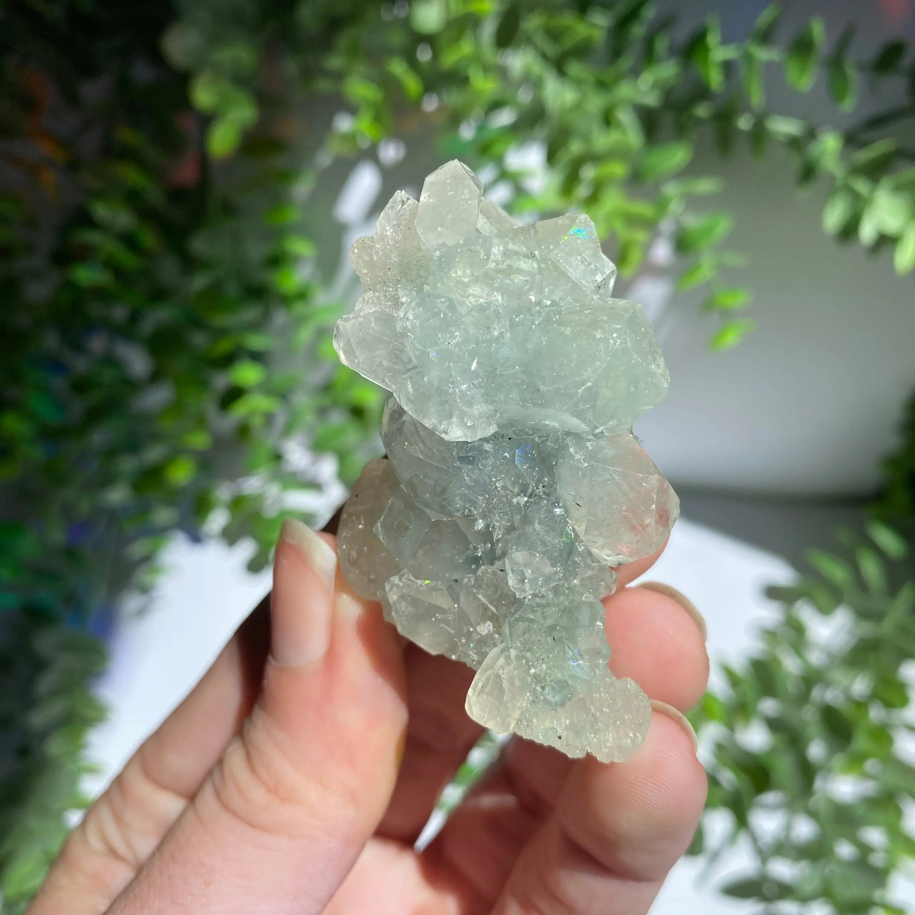 Zeolite Cluster Arabella Crystals