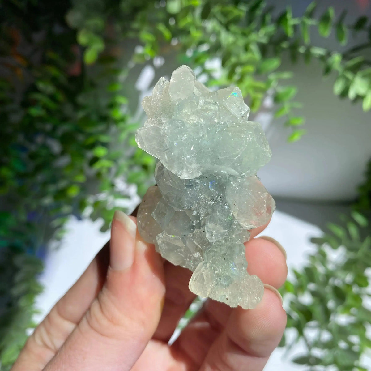 Zeolite Cluster Arabella Crystals