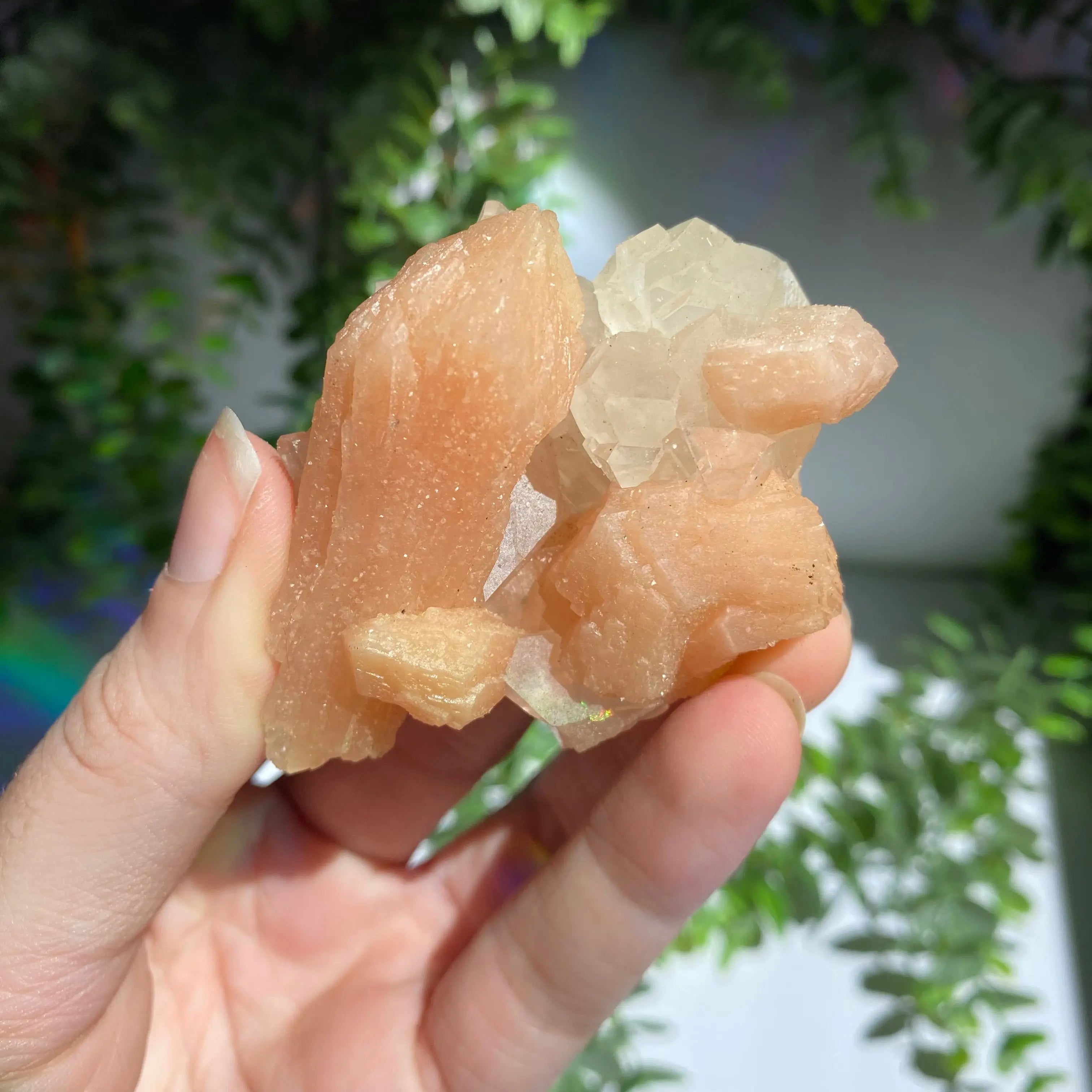 Zeolite Cluster Arabella Crystals