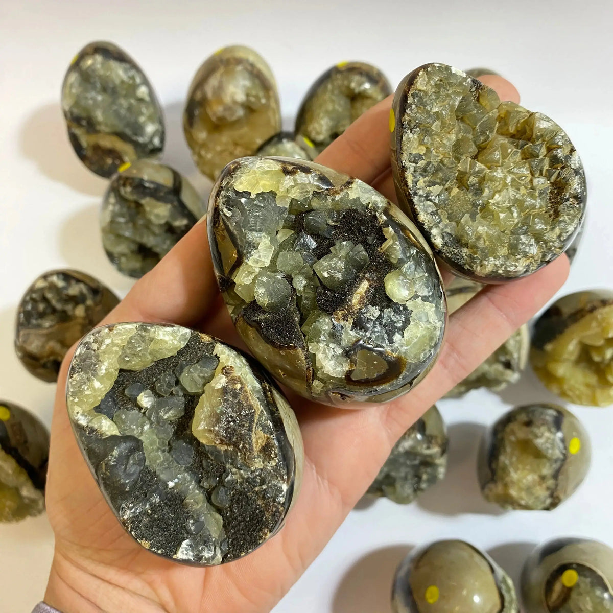 Septarian Agate Egg Arabella Crystals