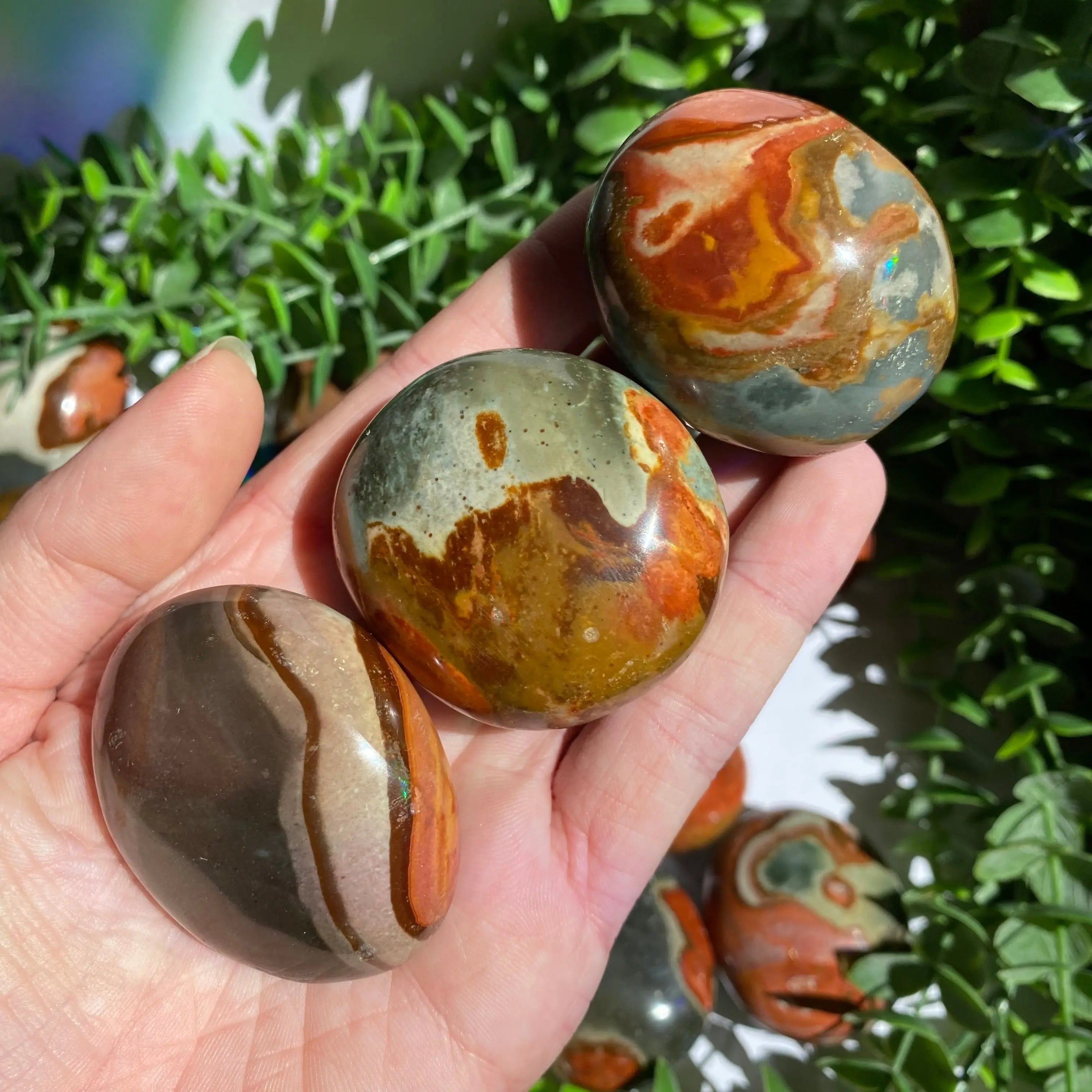 Polychrome Jasper Palm Stone Arabella Crystals