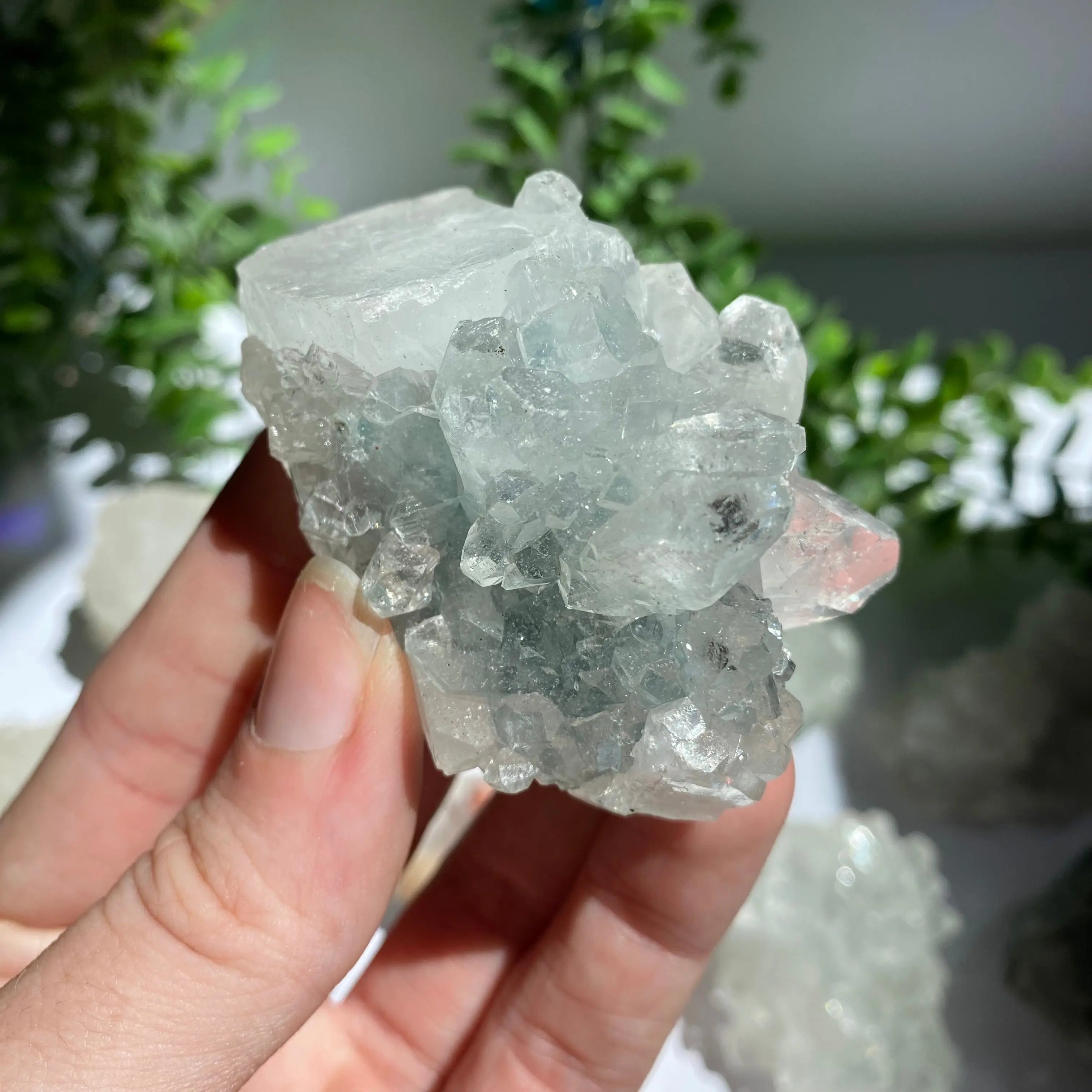 Zeolite Cluster Arabella Crystals