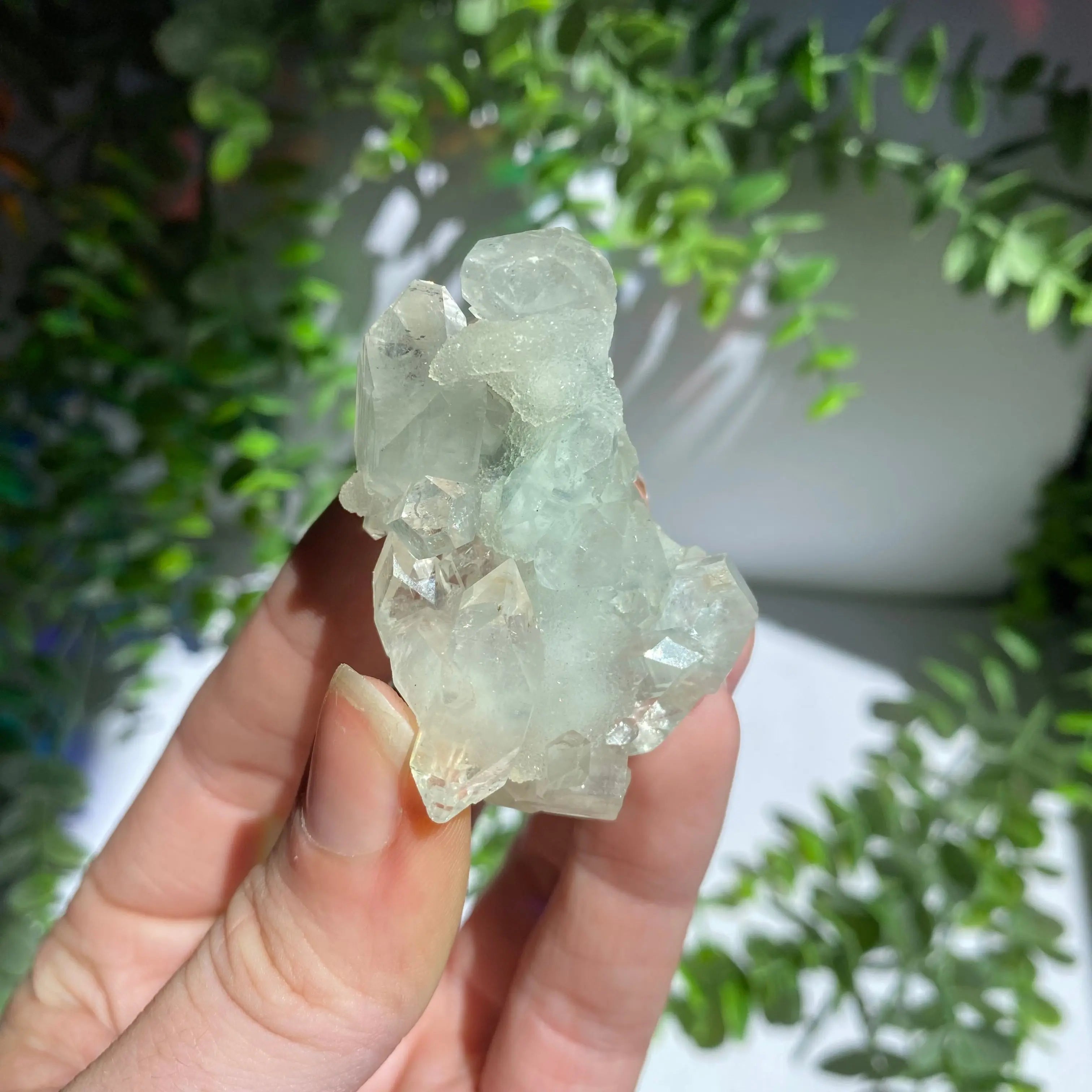 Zeolite Cluster Arabella Crystals