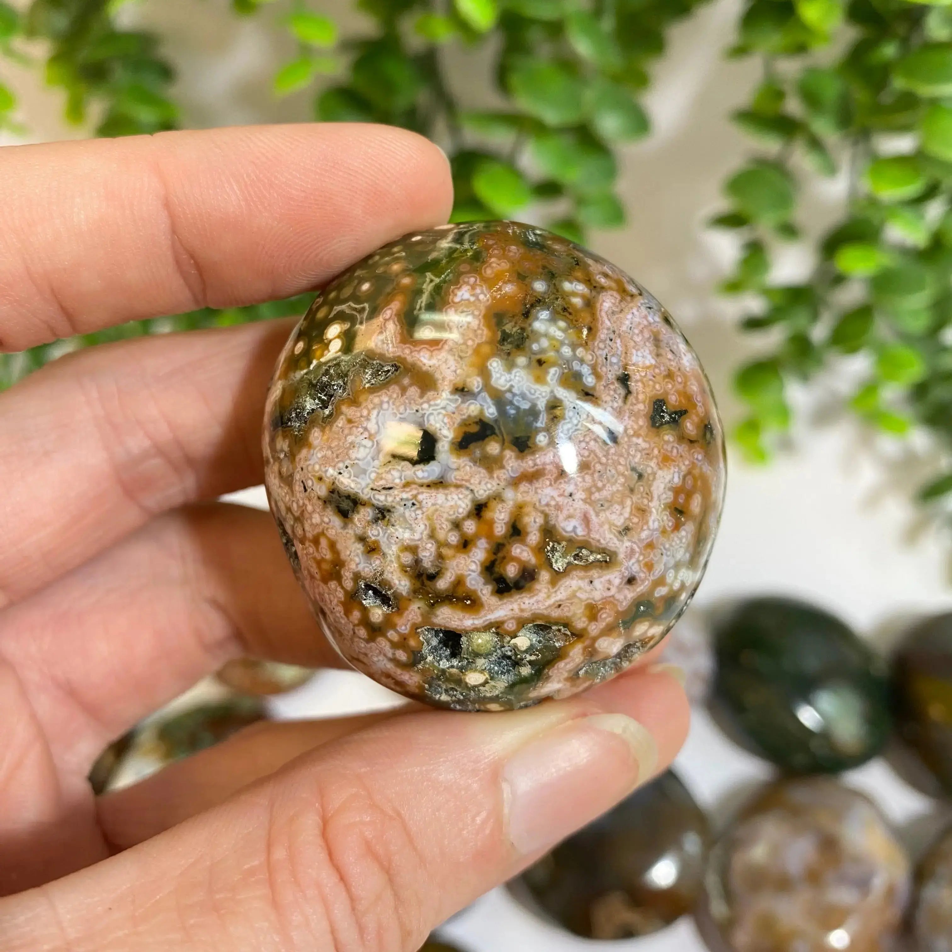 Ocean Jasper Palm Stone Arabella Crystals