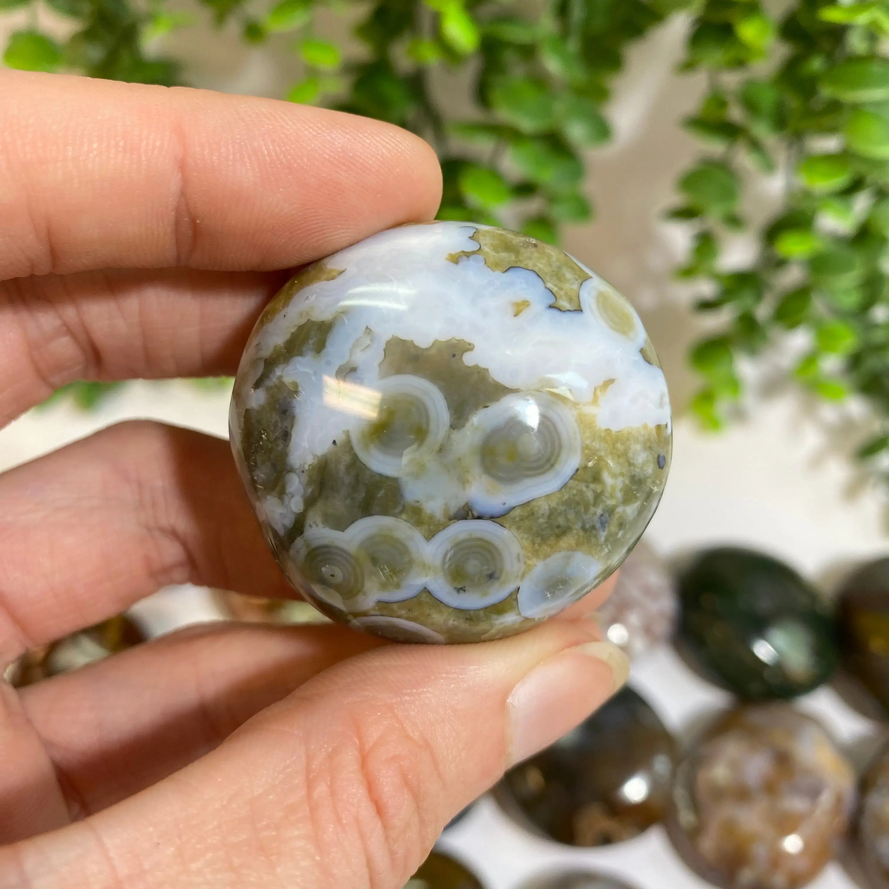 Ocean Jasper Palm Stone Arabella Crystals