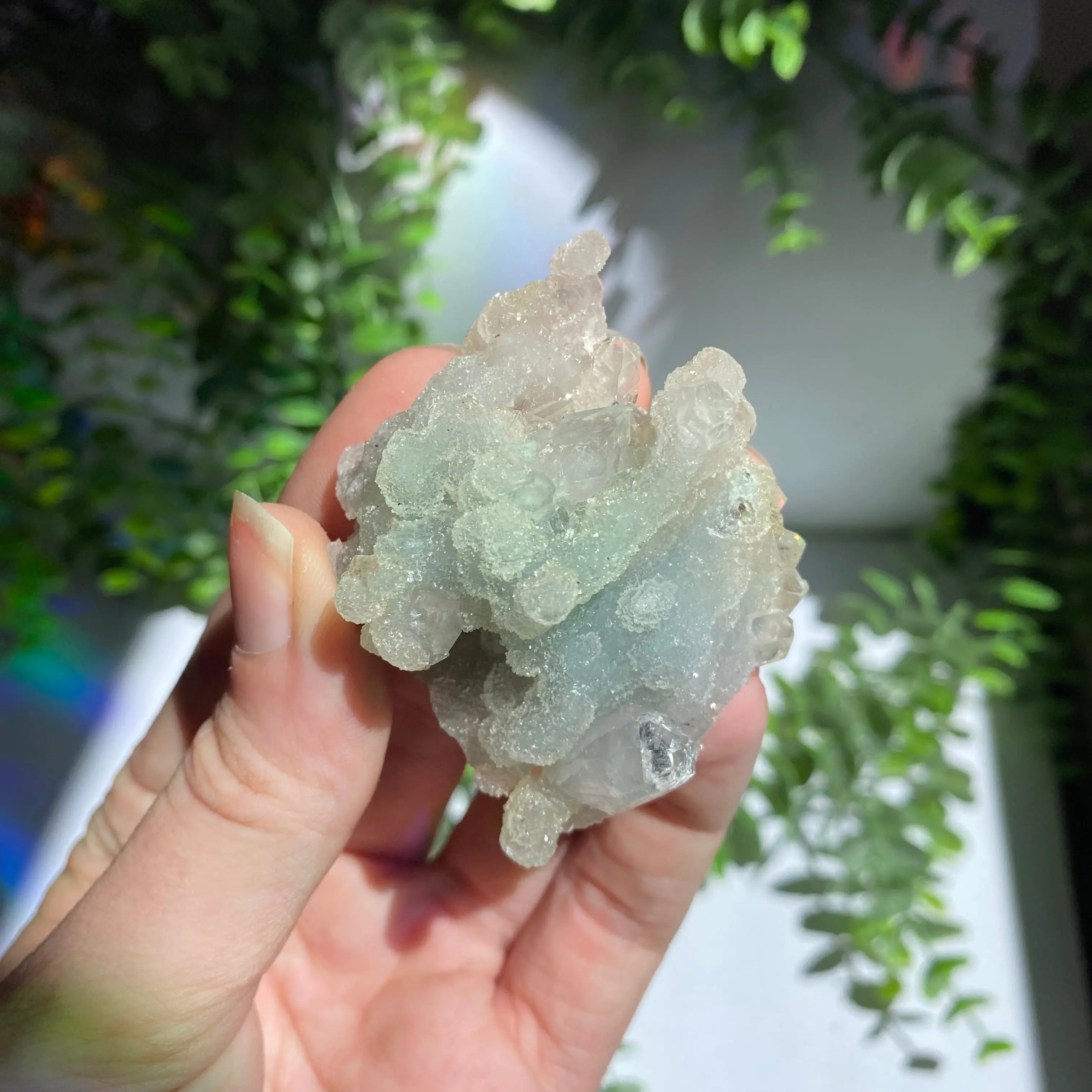 Zeolite Cluster Arabella Crystals